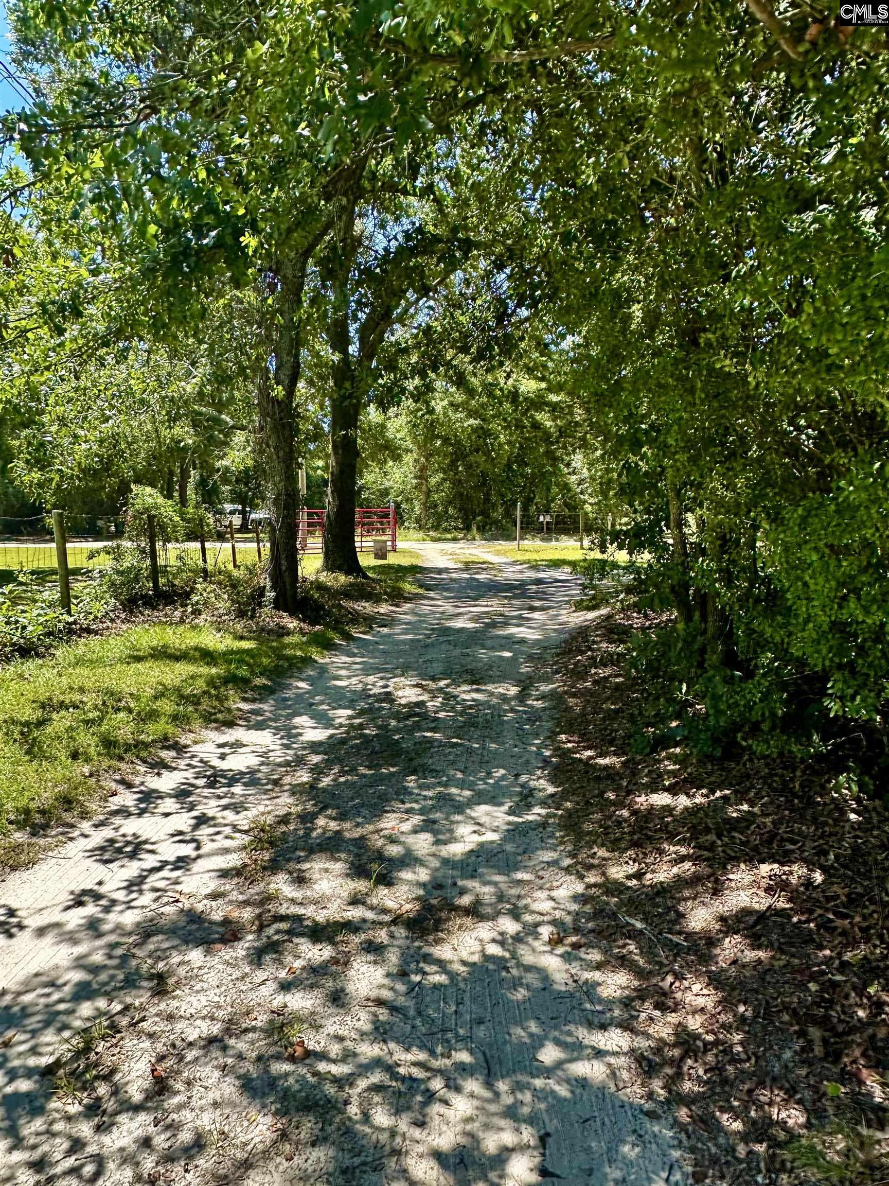1007 Ben Kyzer Drive Gilbert, SC 29054