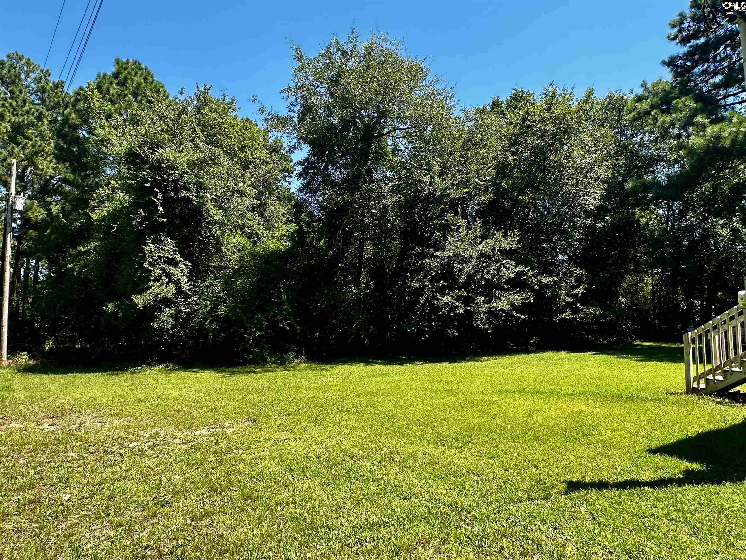 1007 Ben Kyzer Drive Gilbert, SC 29054