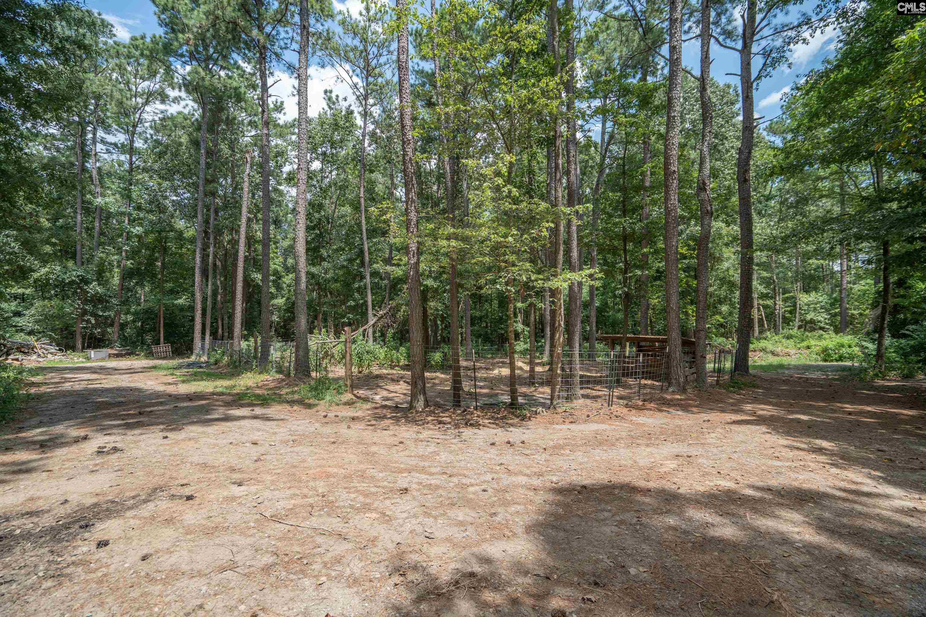 133 Cheyenne Drive Leesville, SC 29070