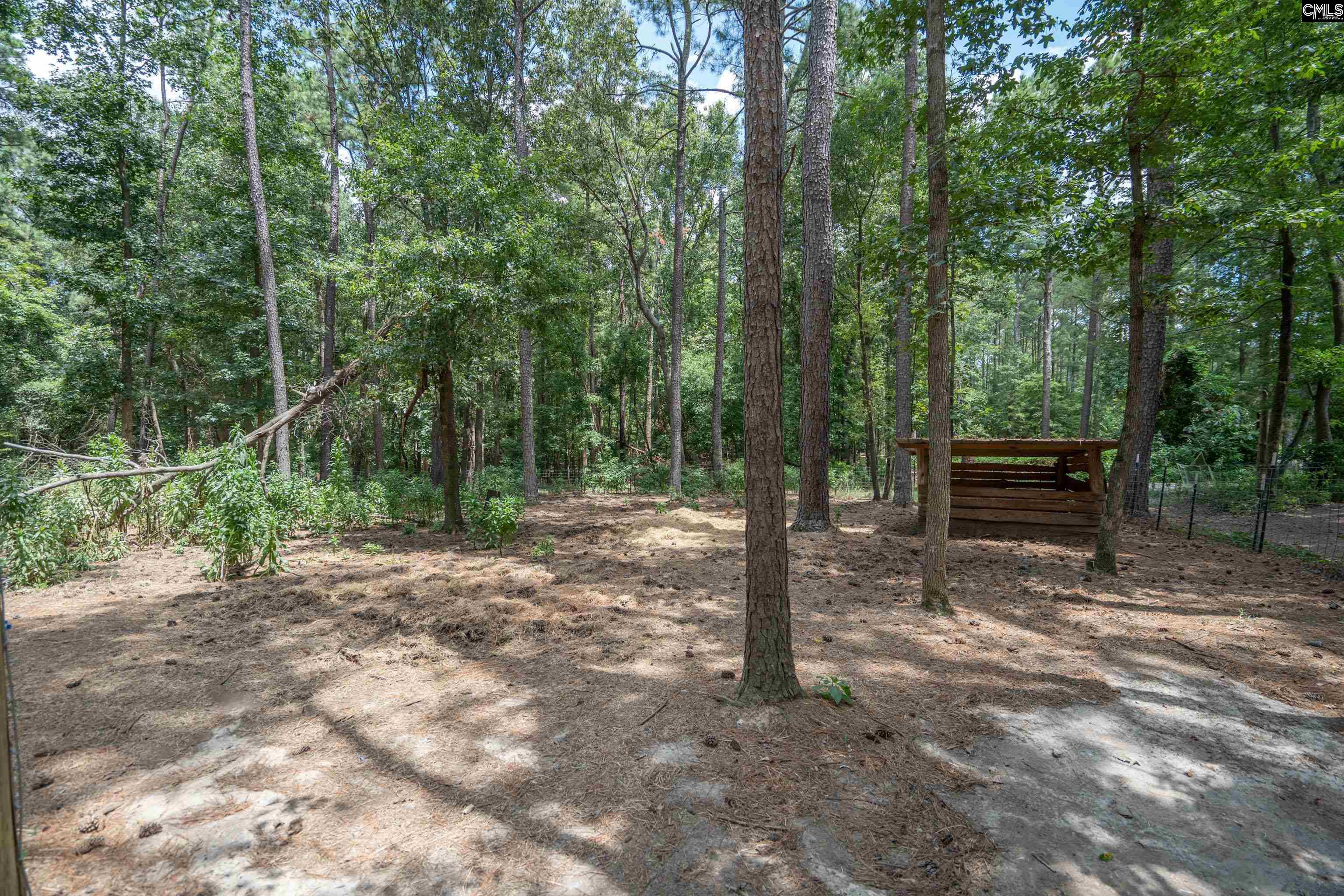 133 Cheyenne Drive Leesville, SC 29070