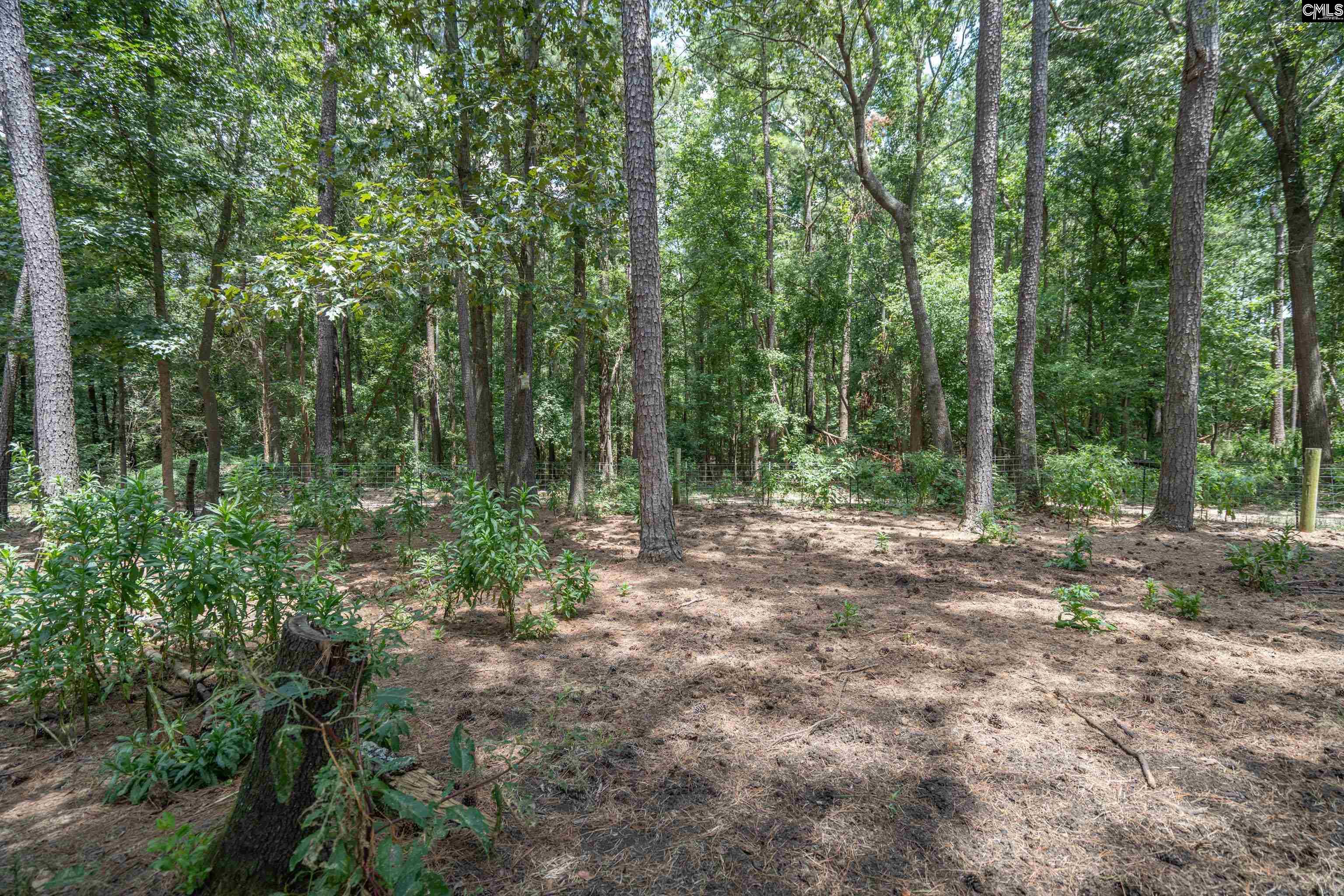 133 Cheyenne Drive Leesville, SC 29070