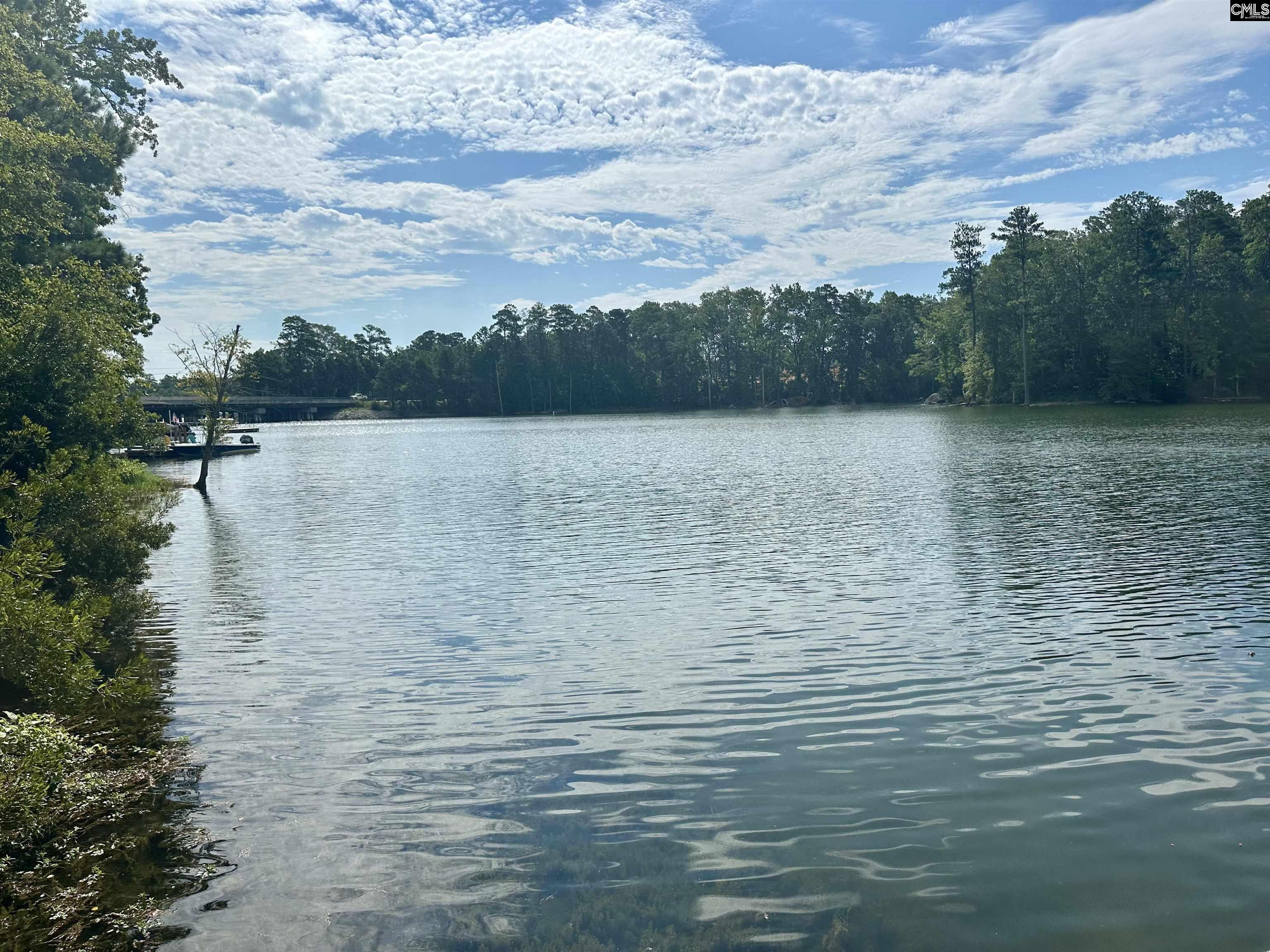 149 Breezes Drive Lexington, SC 29072