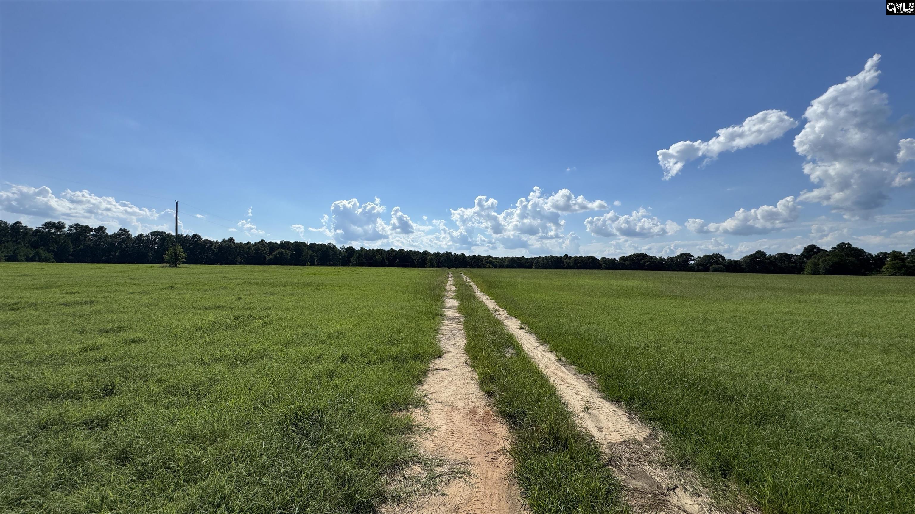 830 Iw Hutto Road UNIT Parcel 2 Swansea, SC 29160