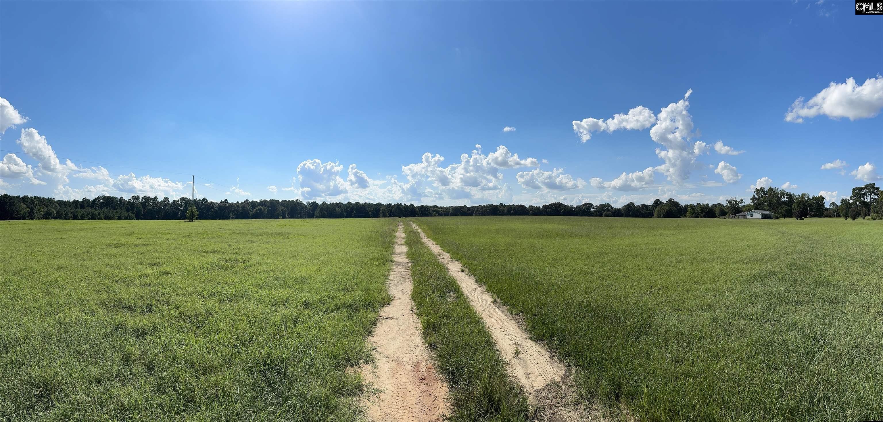 830 Iw Hutto Road UNIT Parcel 2 Swansea, SC 29160