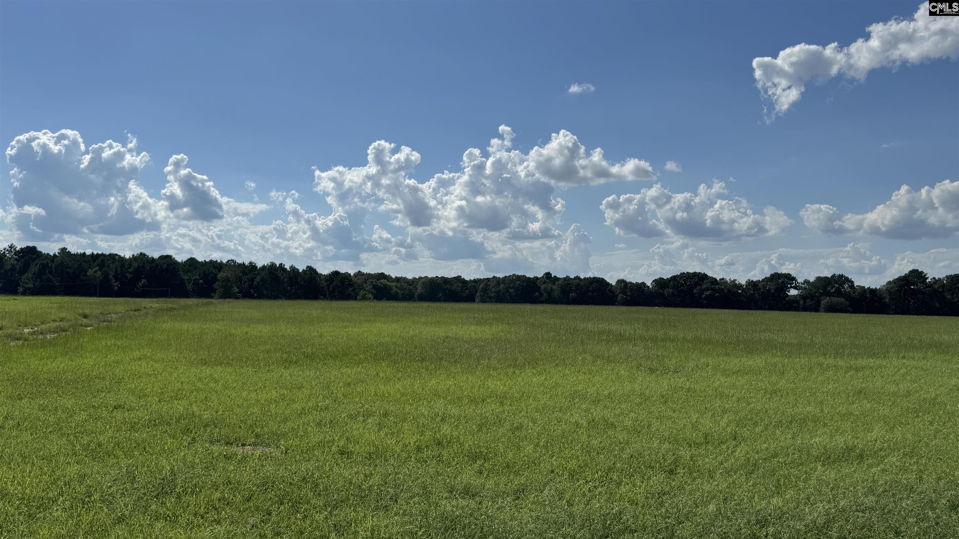 830 Iw Hutto Road UNIT Parcel 2 Swansea, SC 29160
