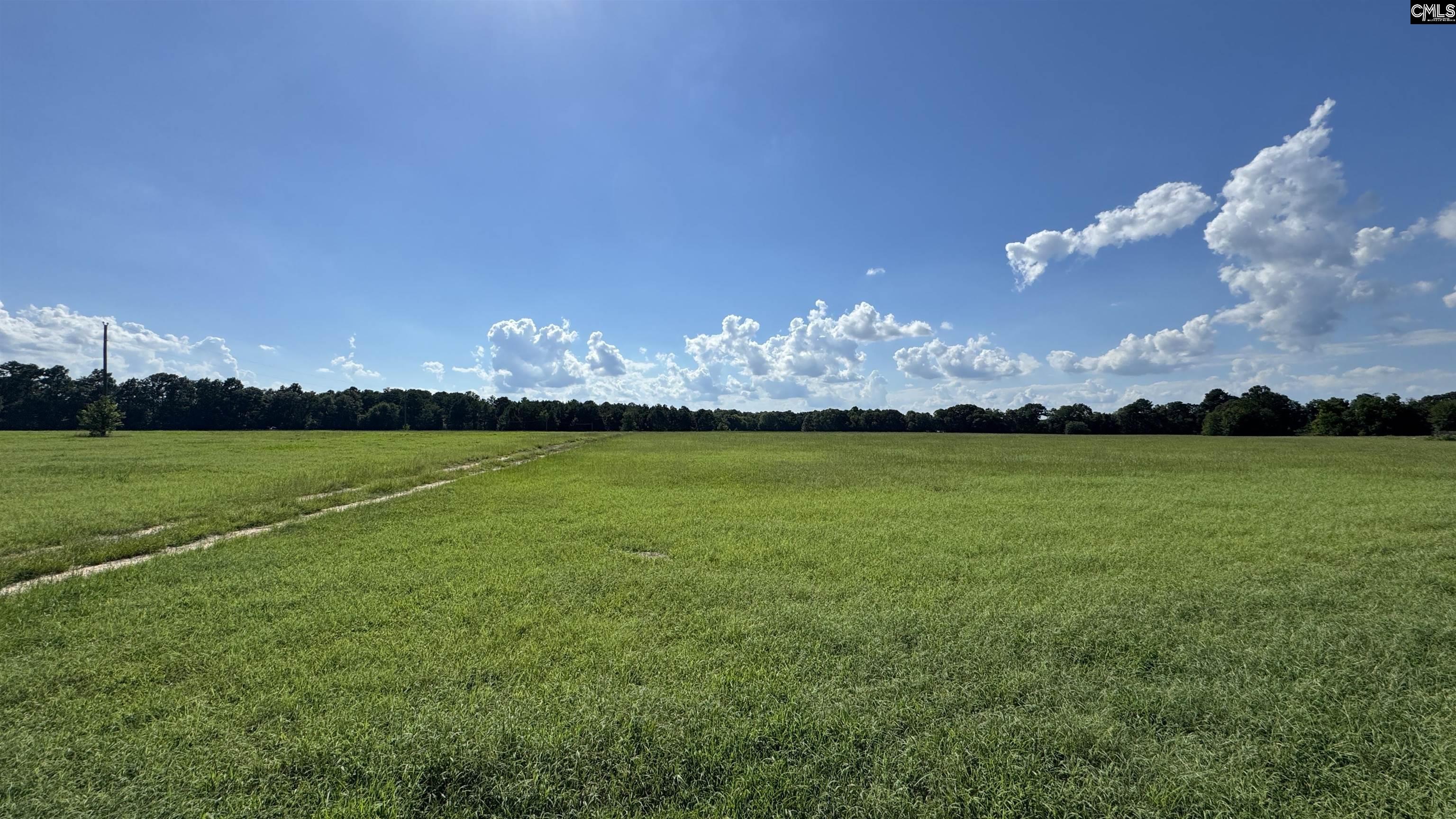 830 Iw Hutto Road UNIT Parcel 2 Swansea, SC 29160