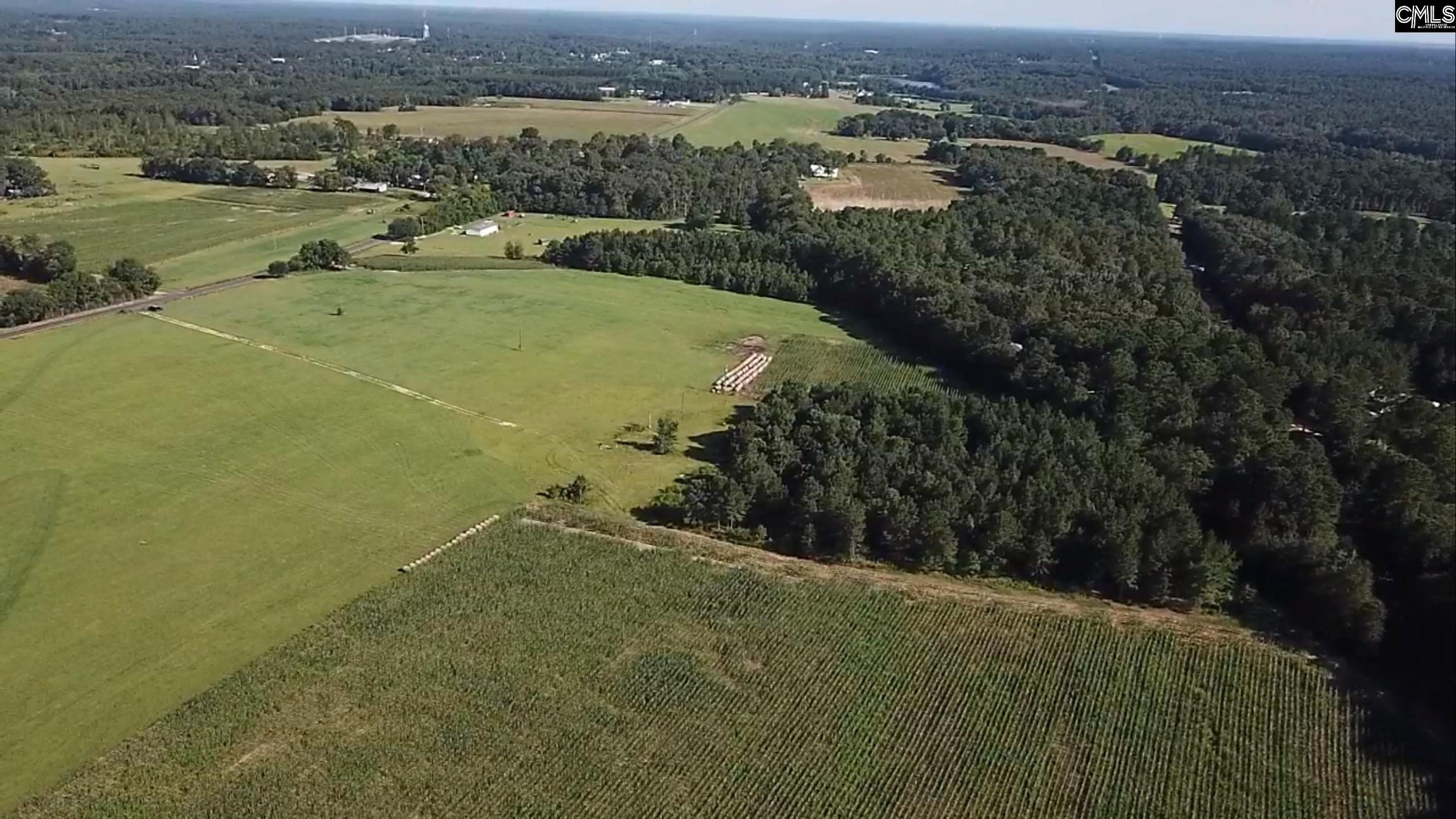 830 Iw Hutto Road UNIT Parcel 2 Swansea, SC 29160