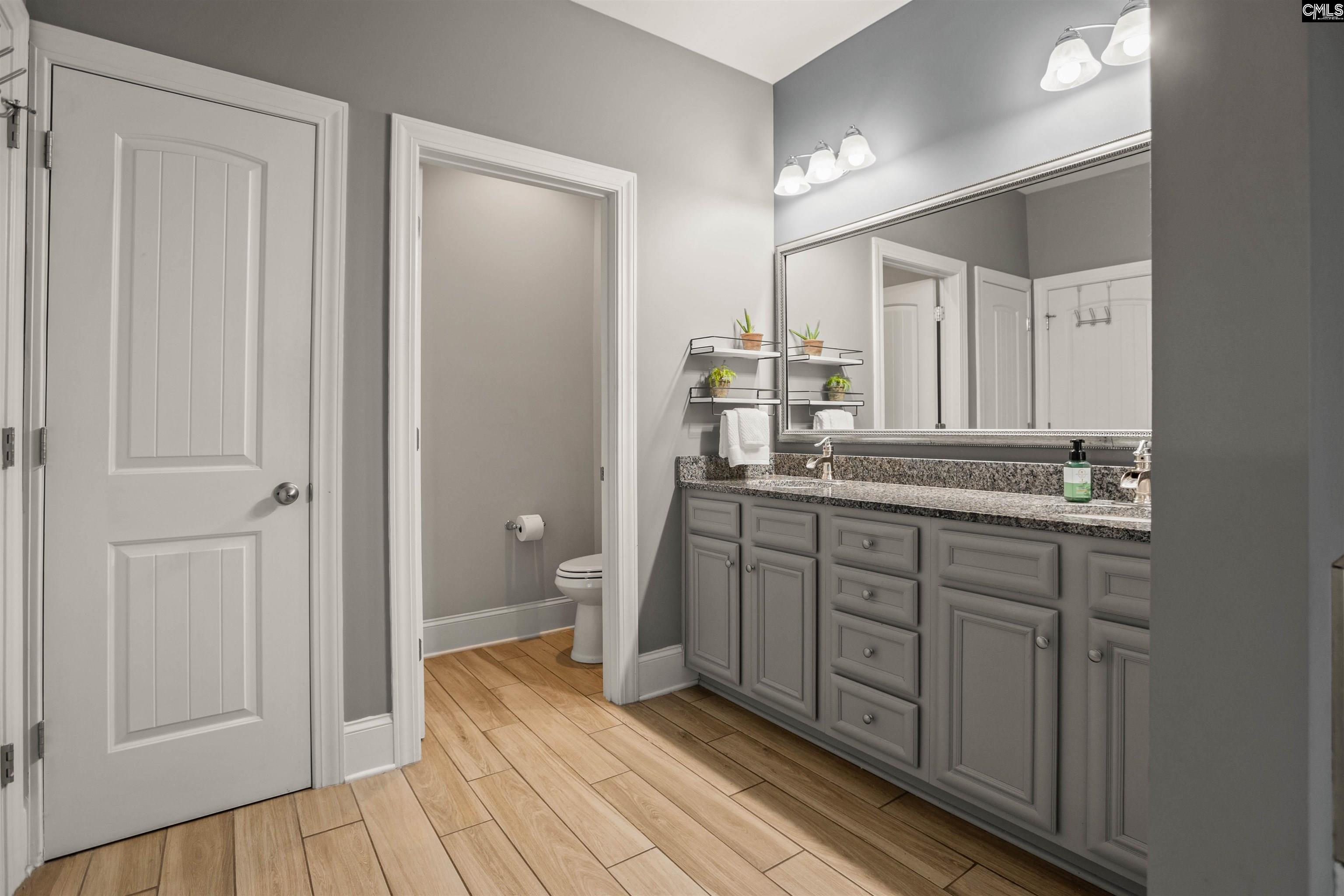 231 Hilton View Court Chapin, SC 29036