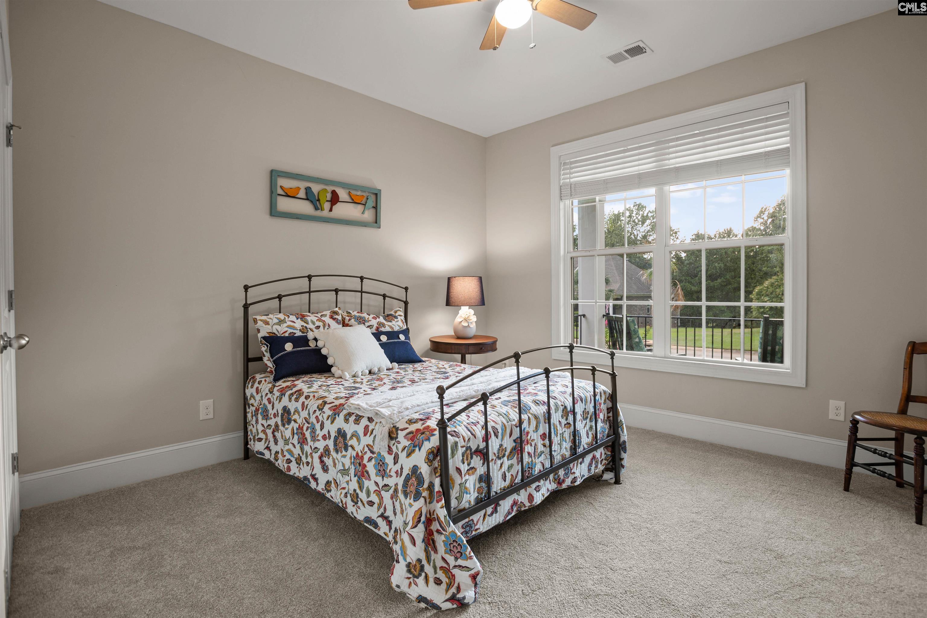 231 Hilton View Court Chapin, SC 29036