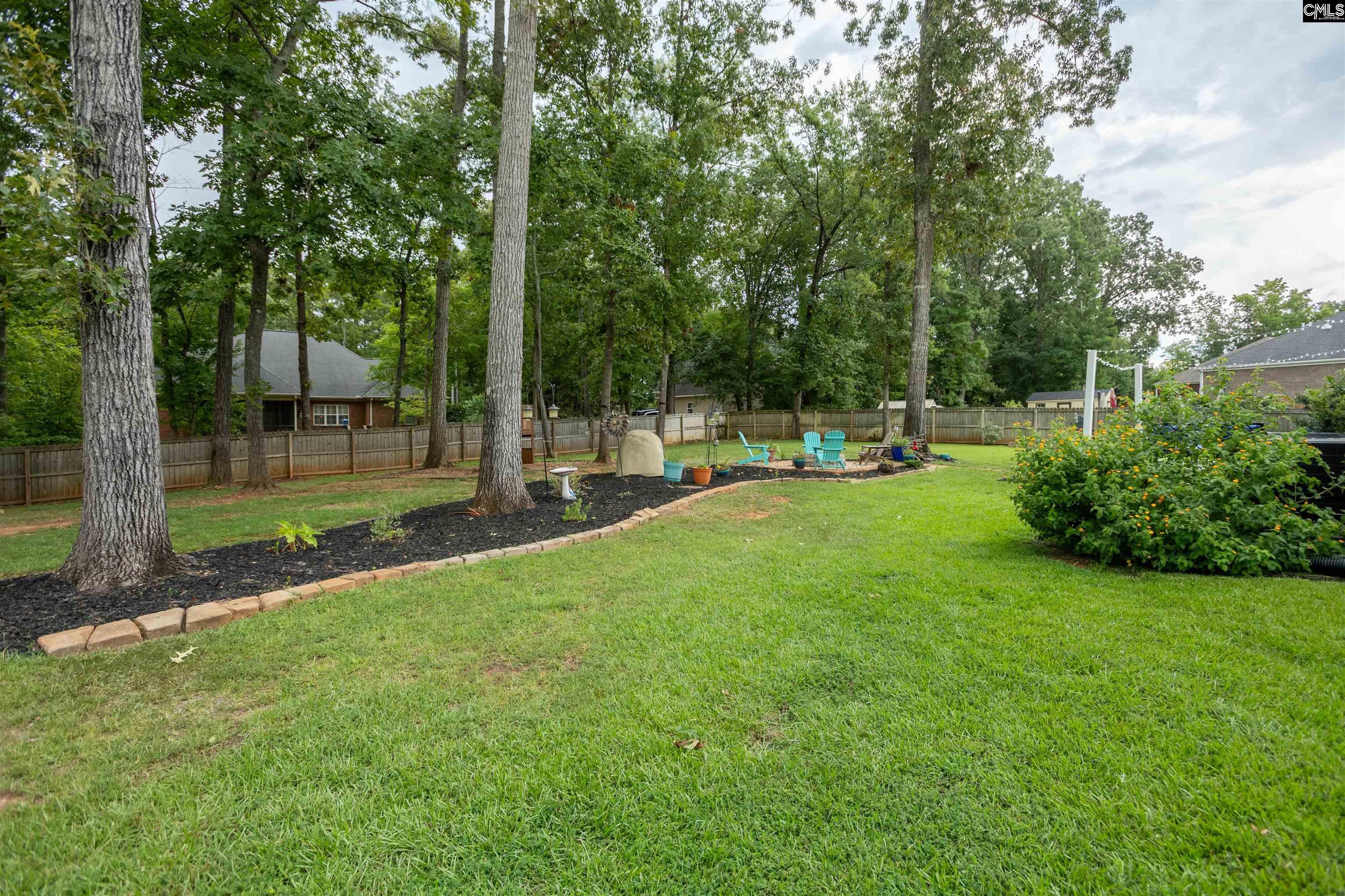 231 Hilton View Court Chapin, SC 29036