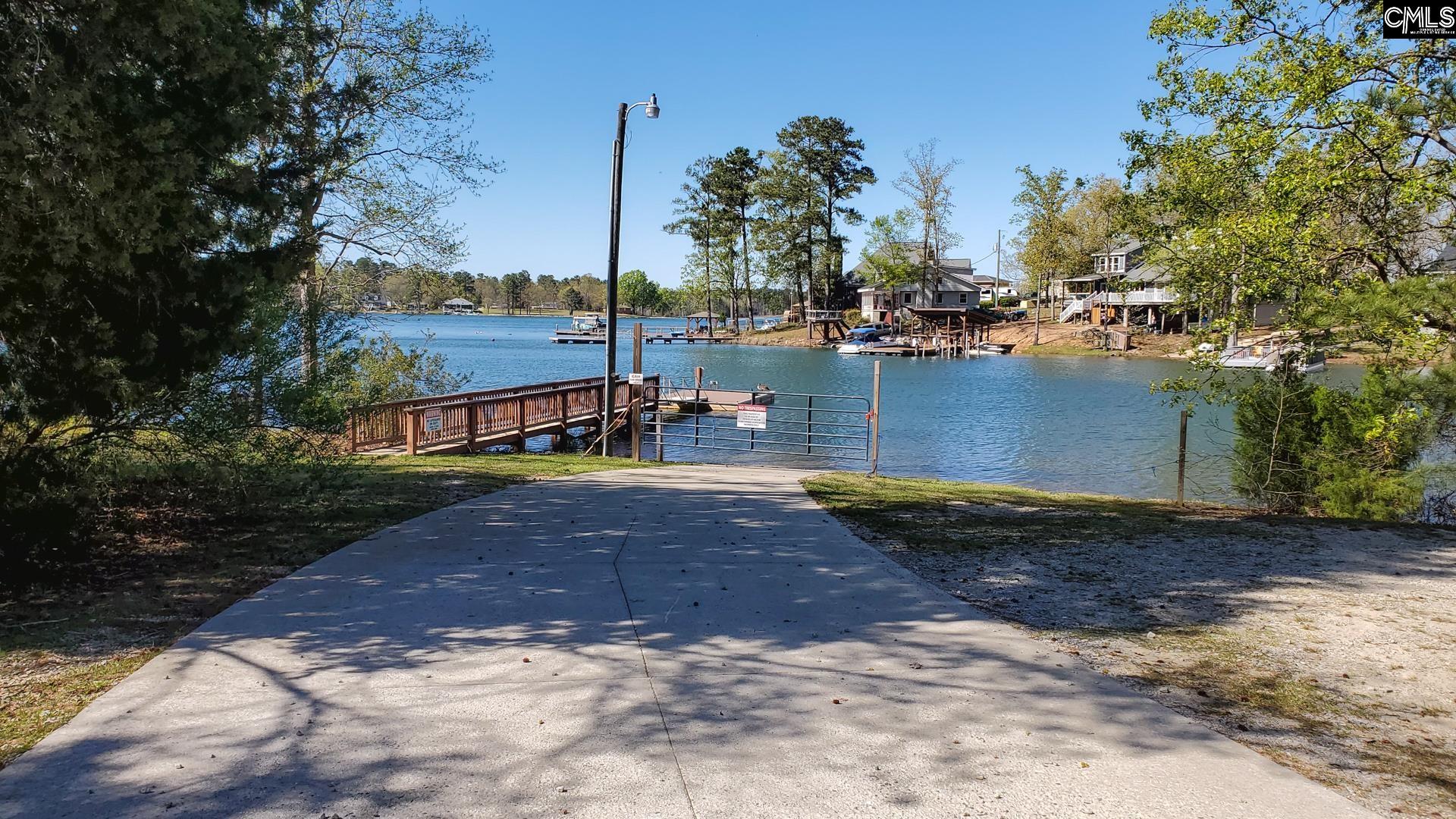 231 Hilton View Court Chapin, SC 29036