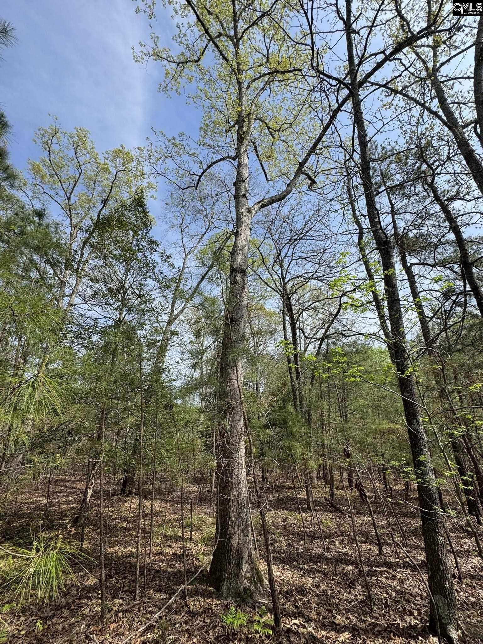 359 Holly Point Road Prosperity, SC 29127