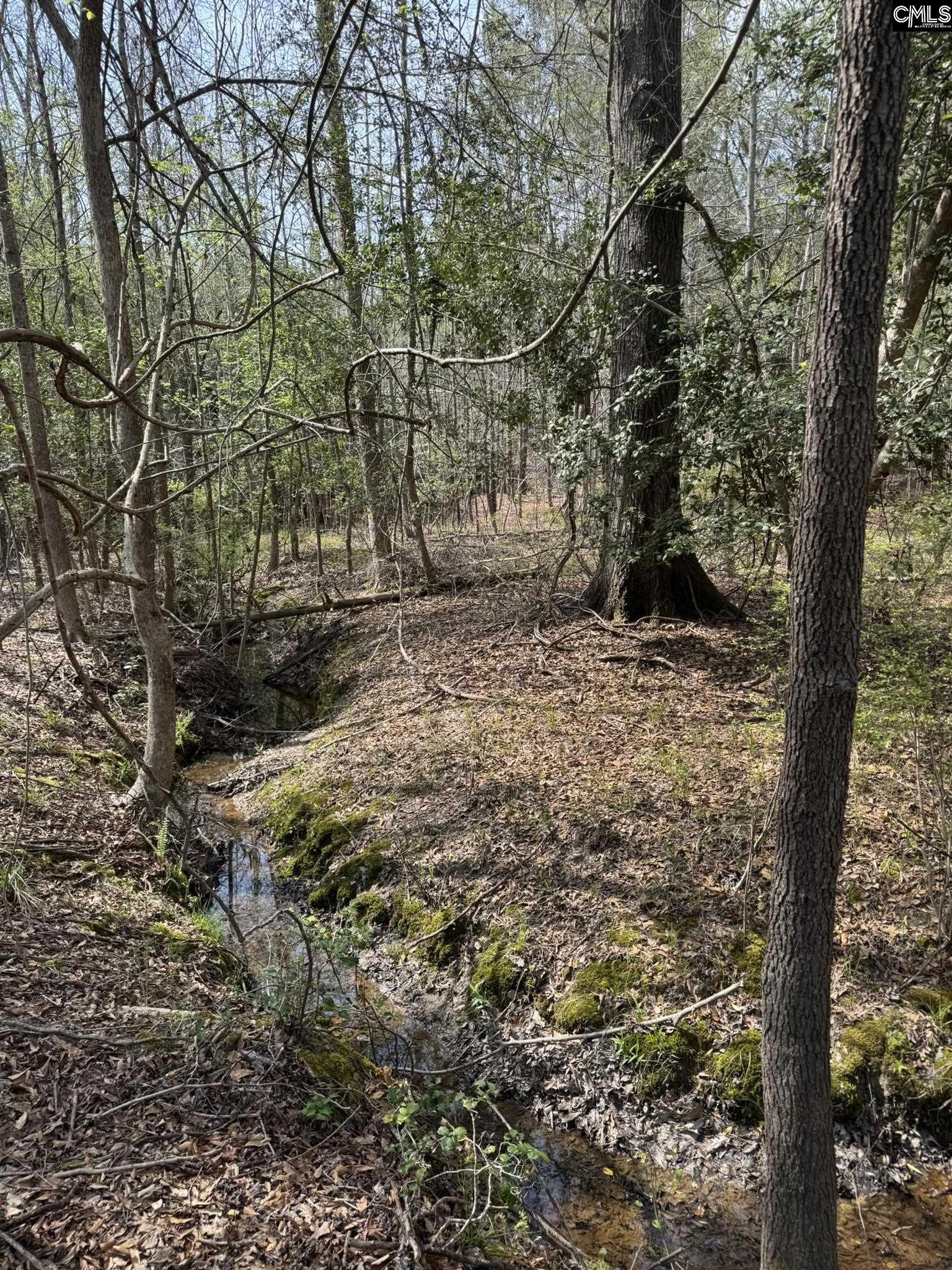 359 Holly Point Road Prosperity, SC 29127