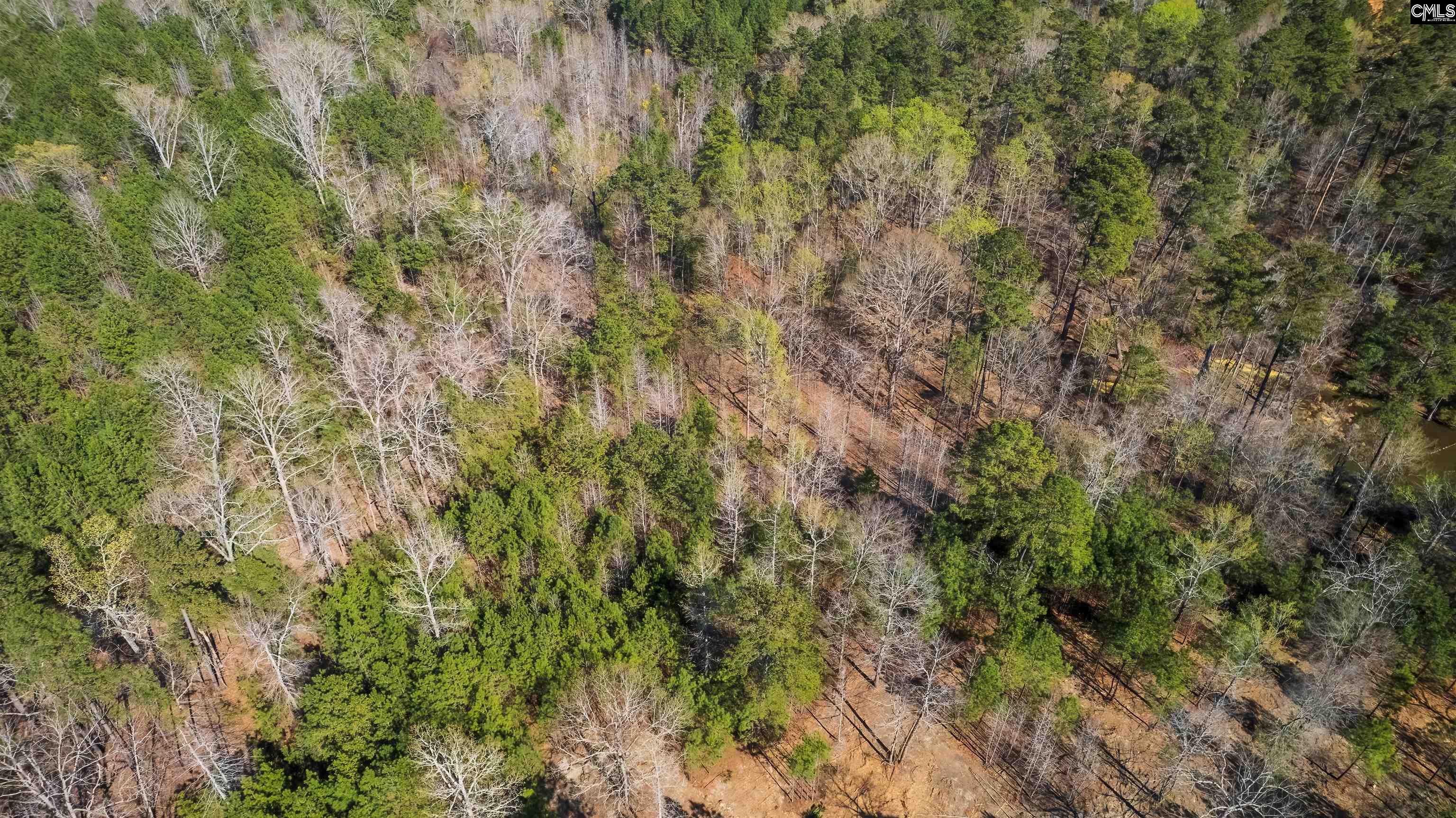 359 Holly Point Road Prosperity, SC 29127