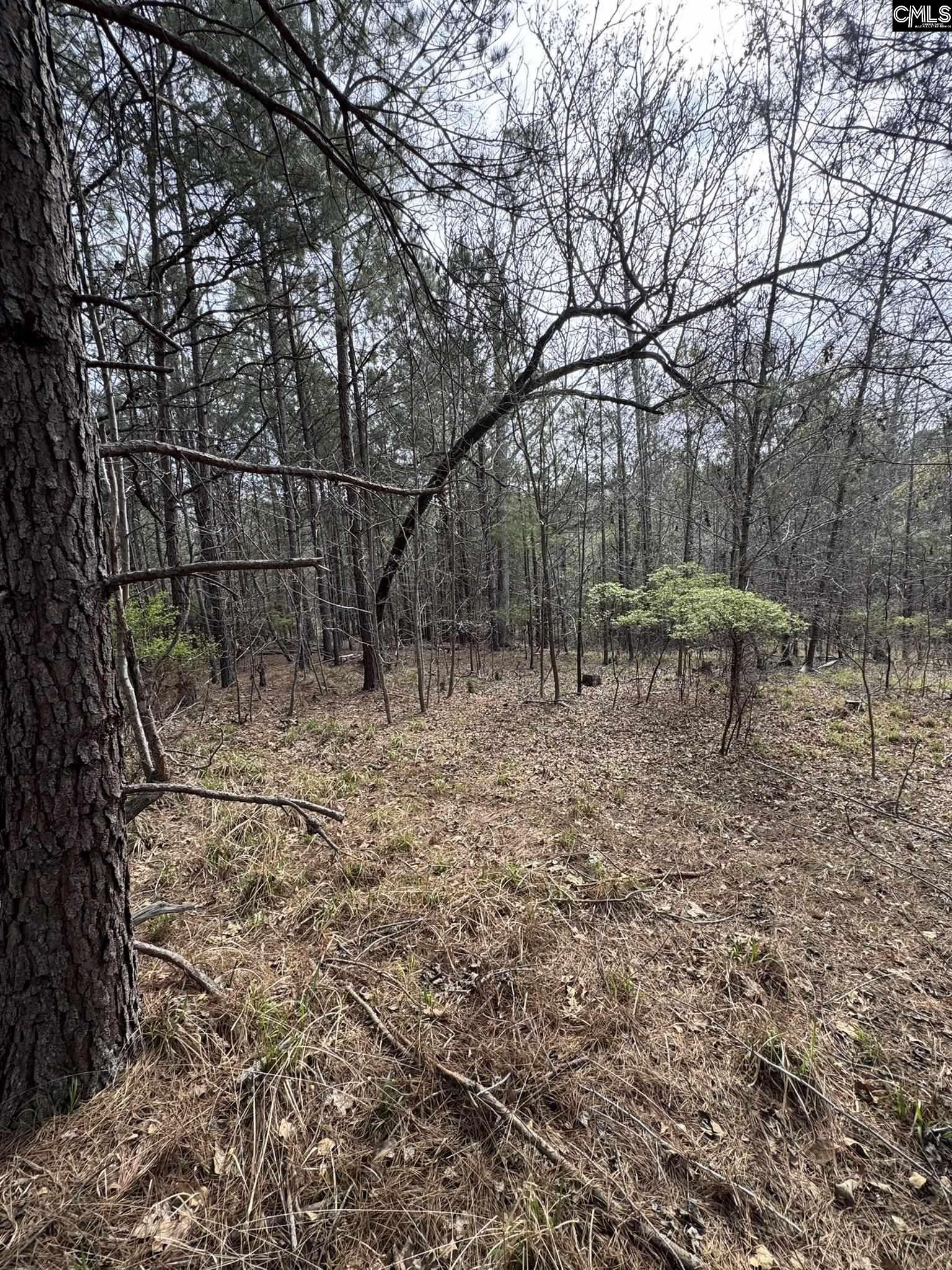 359 Holly Point Road Prosperity, SC 29127