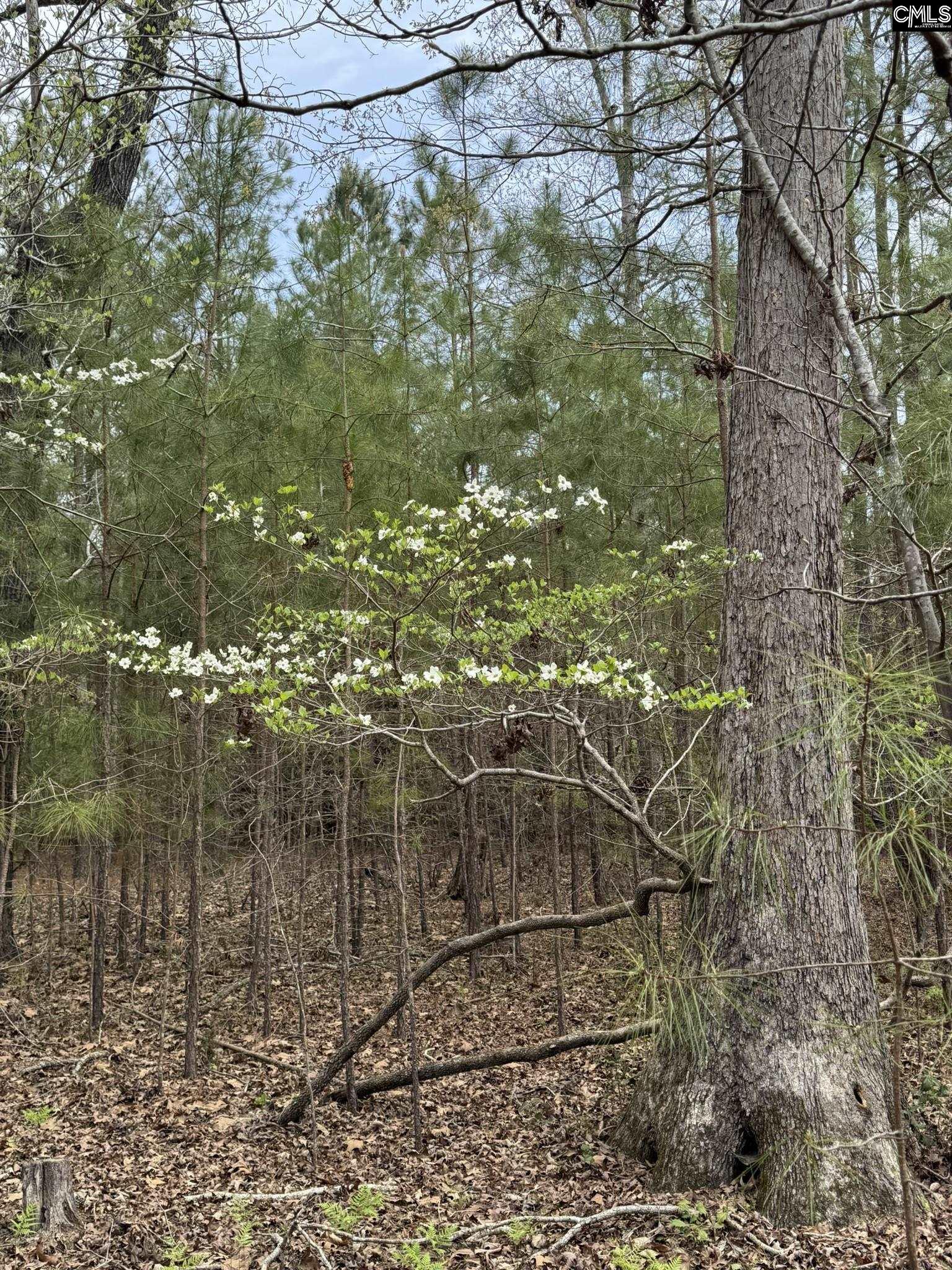 359 Holly Point Road Prosperity, SC 29127