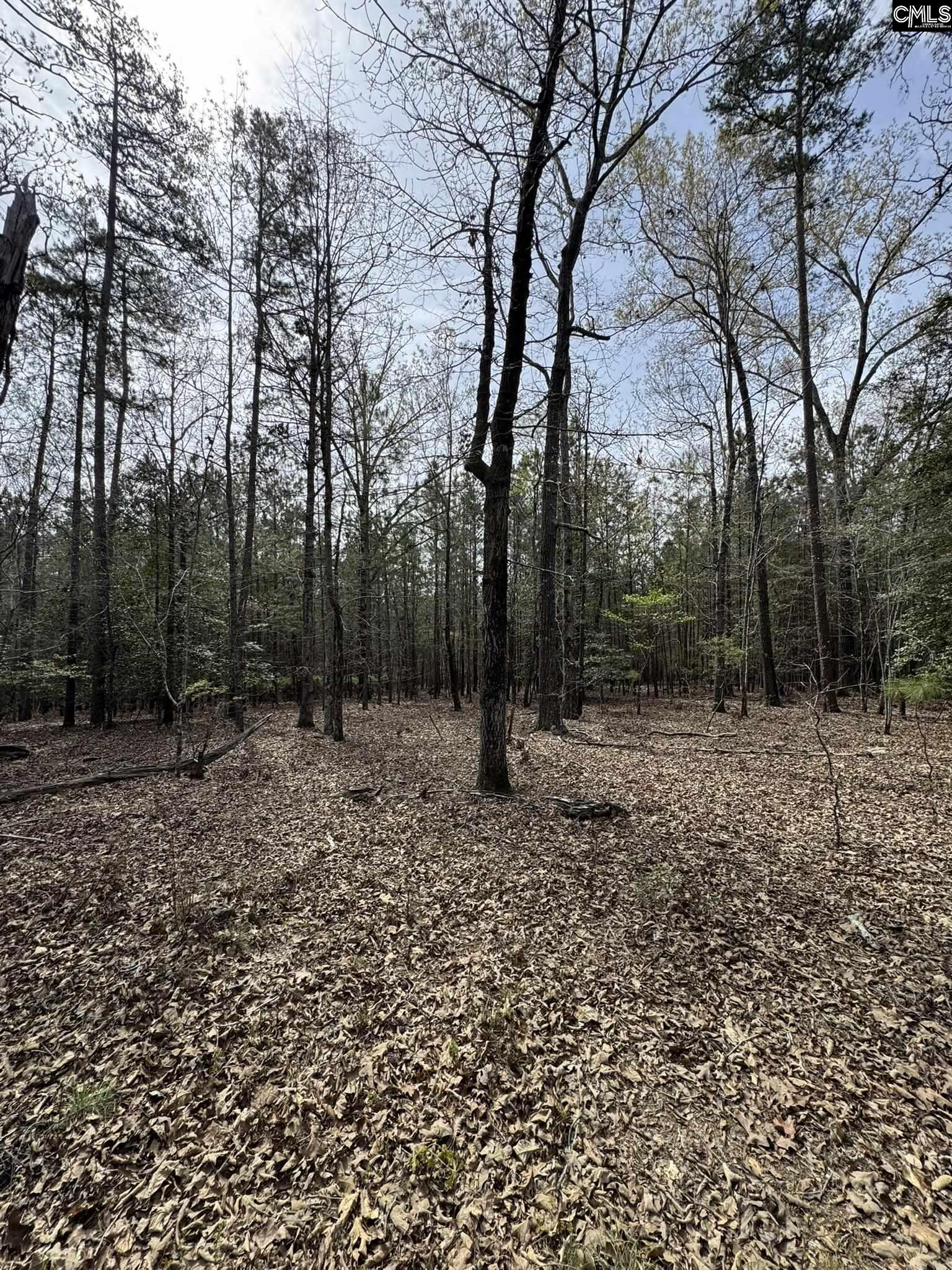 359 Holly Point Road Prosperity, SC 29127