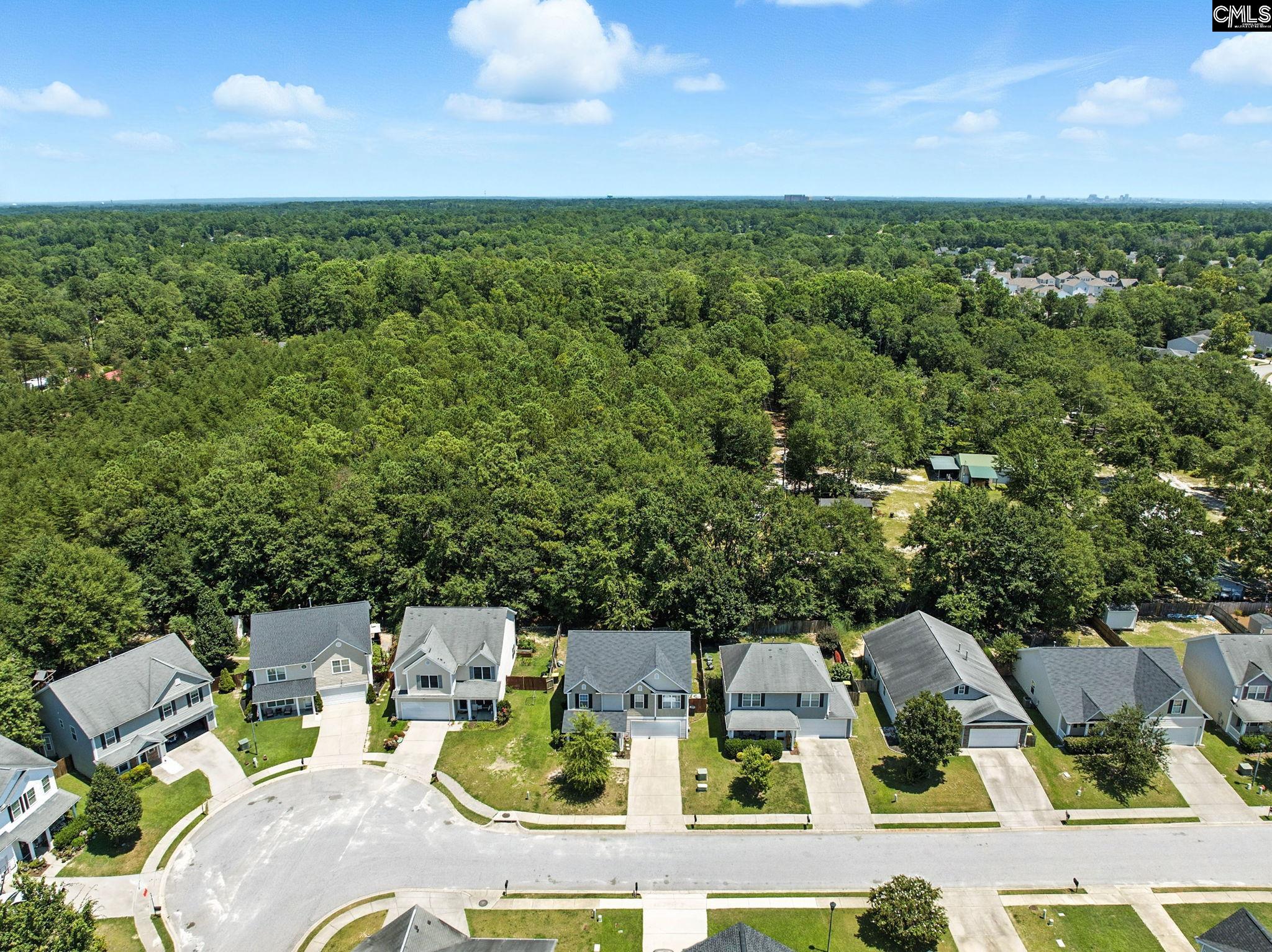 126 Red Pine Dr Lexington, SC 29073