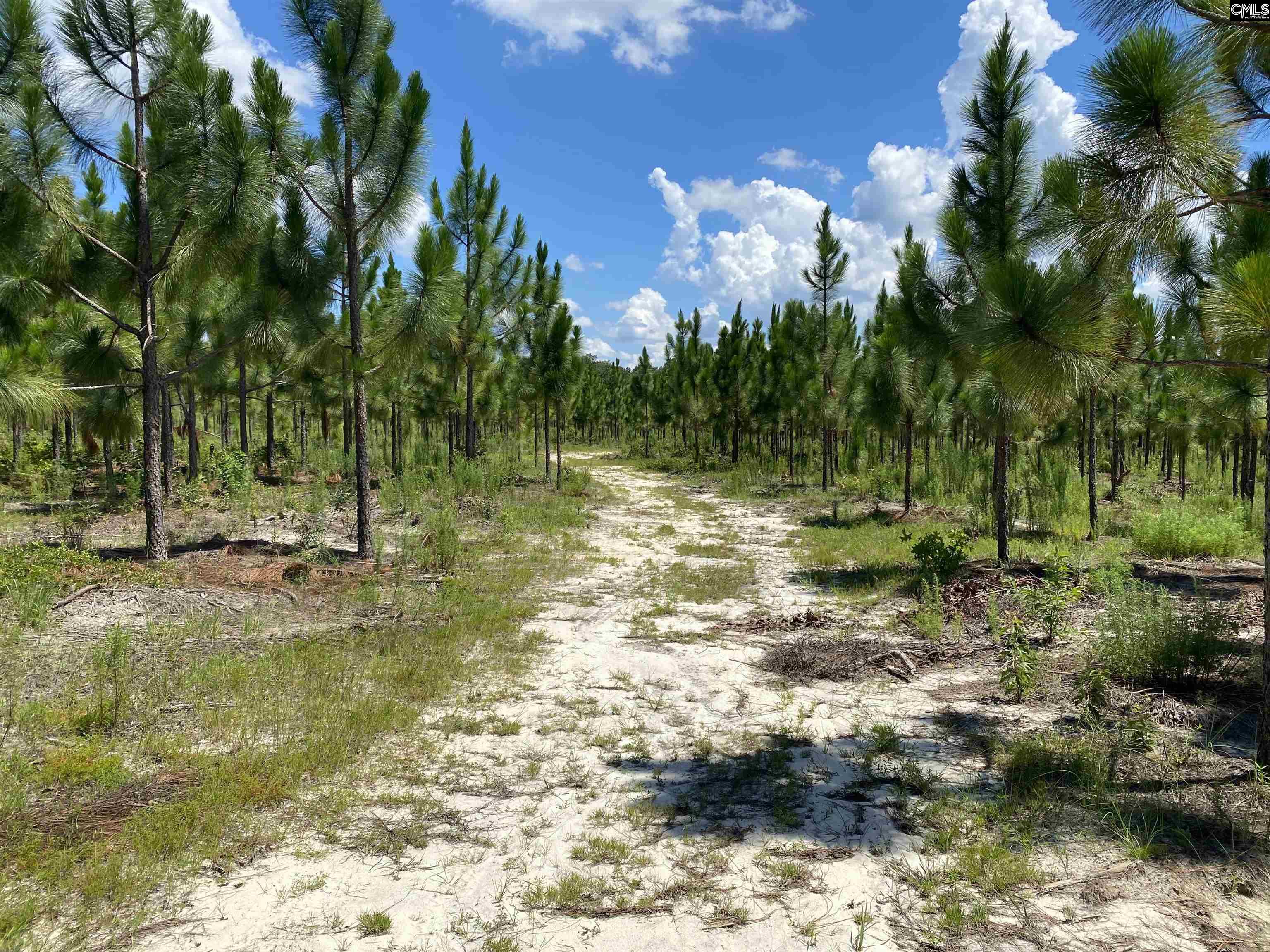 Bub Shumpert Road Pelion, SC 29123