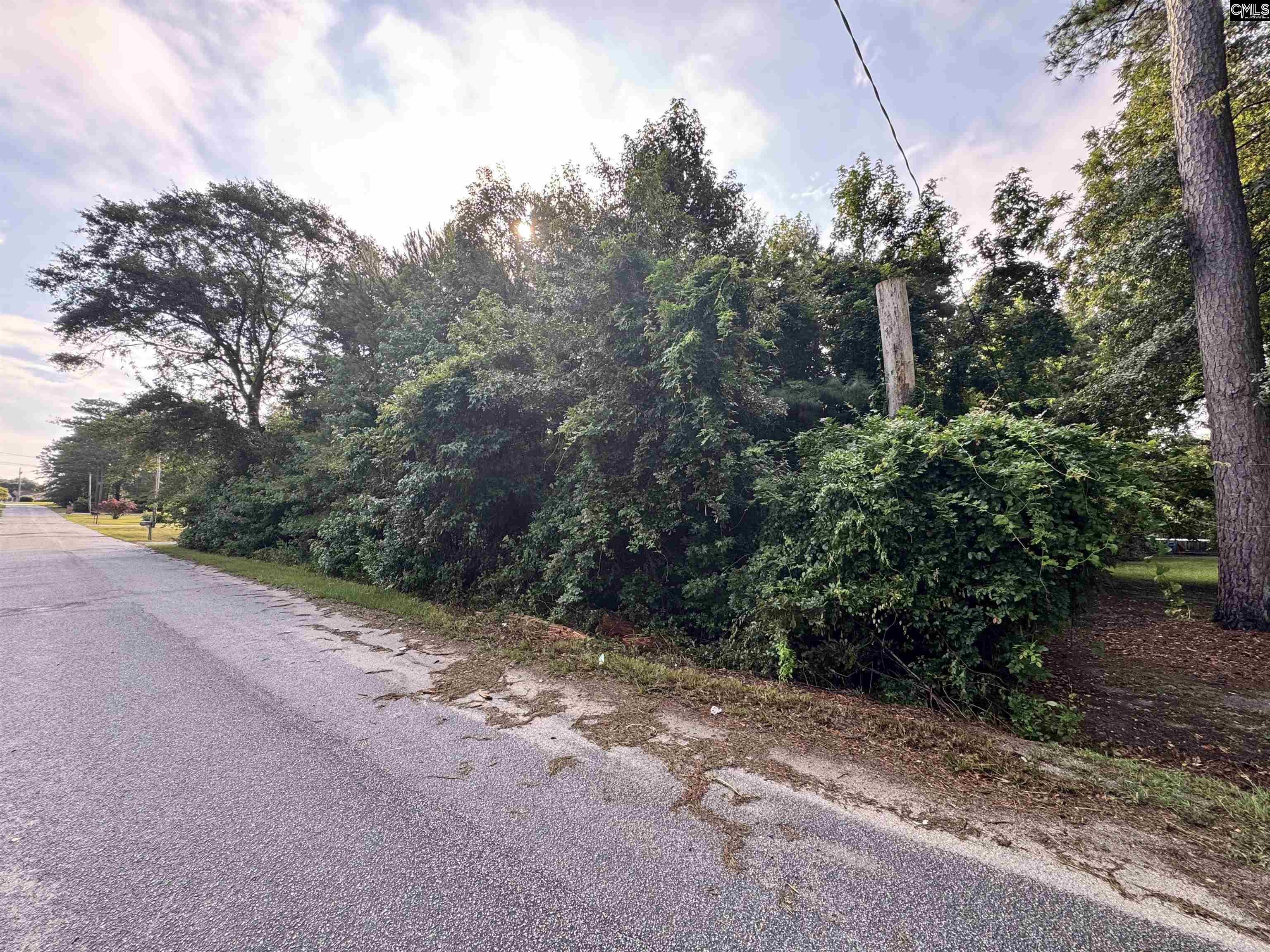 1906 Medfield Drive Camden, SC 29020-0000