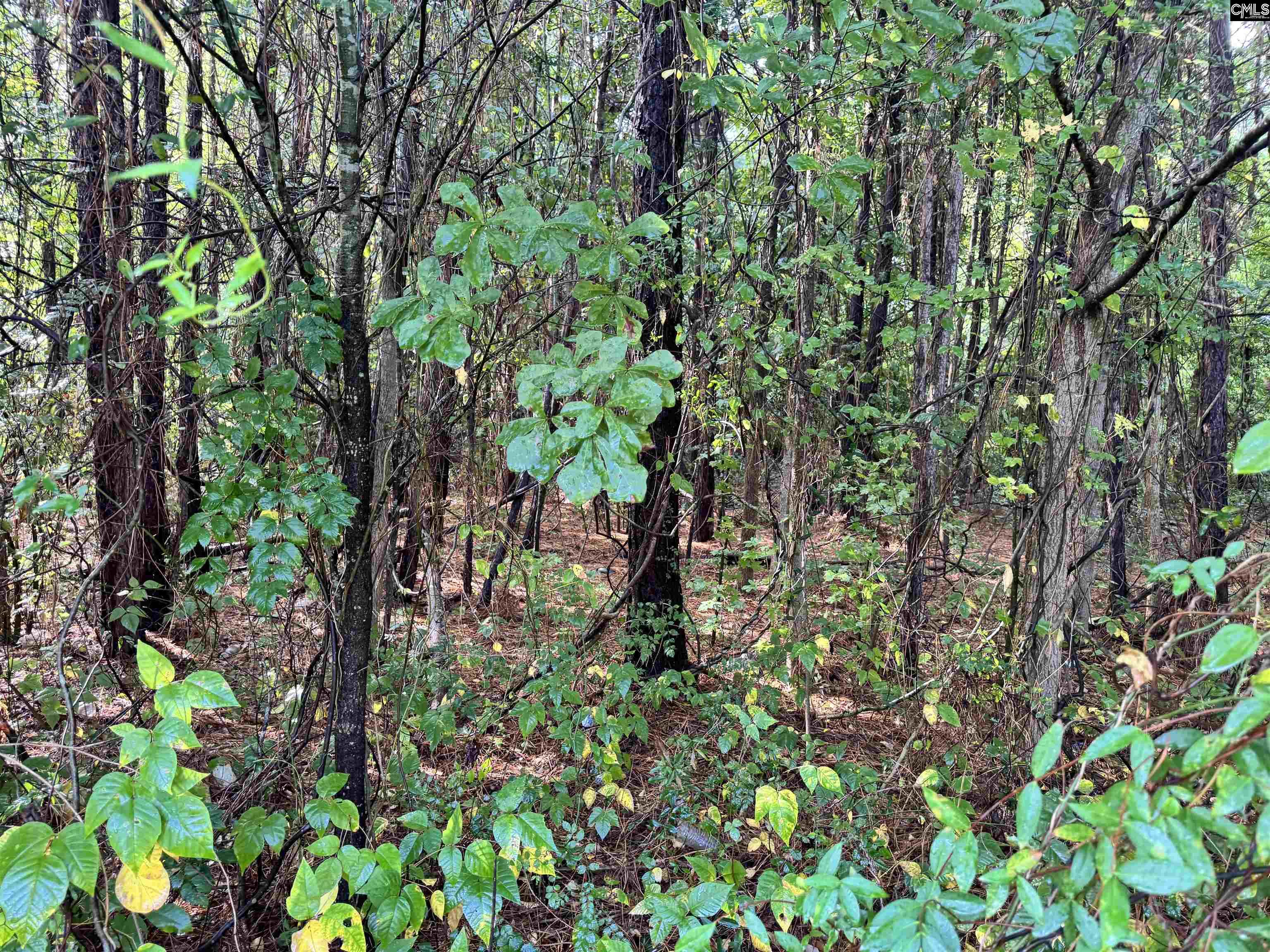 1906 Medfield Drive Camden, SC 29020-0000