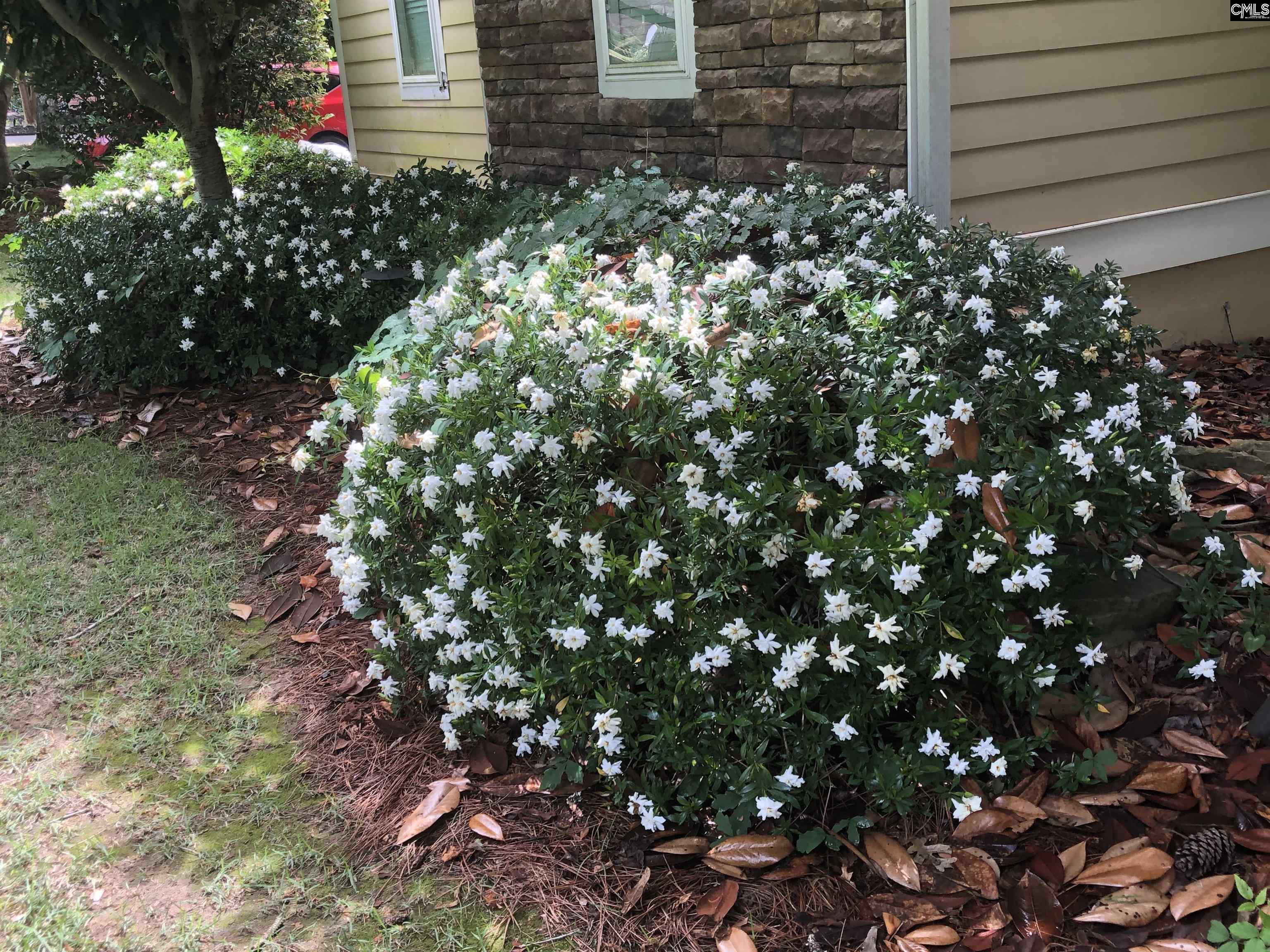 203 Roundtree Road Blythewood, SC 29016