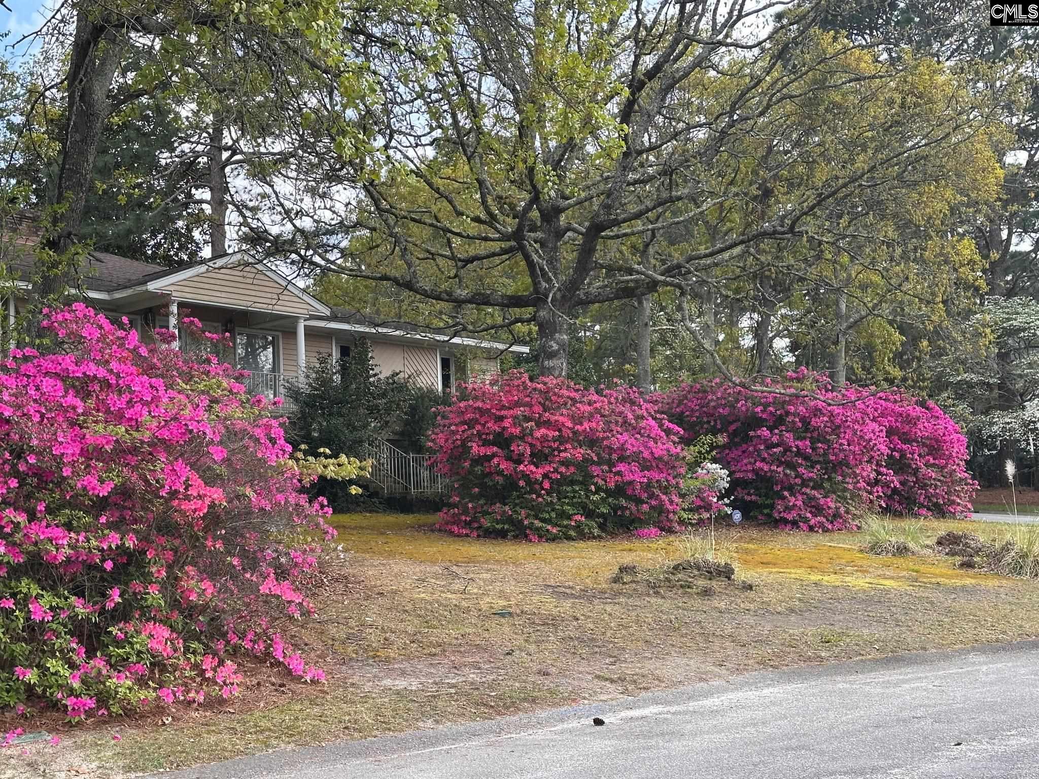 27 Foxhill Court Columbia, SC 29223