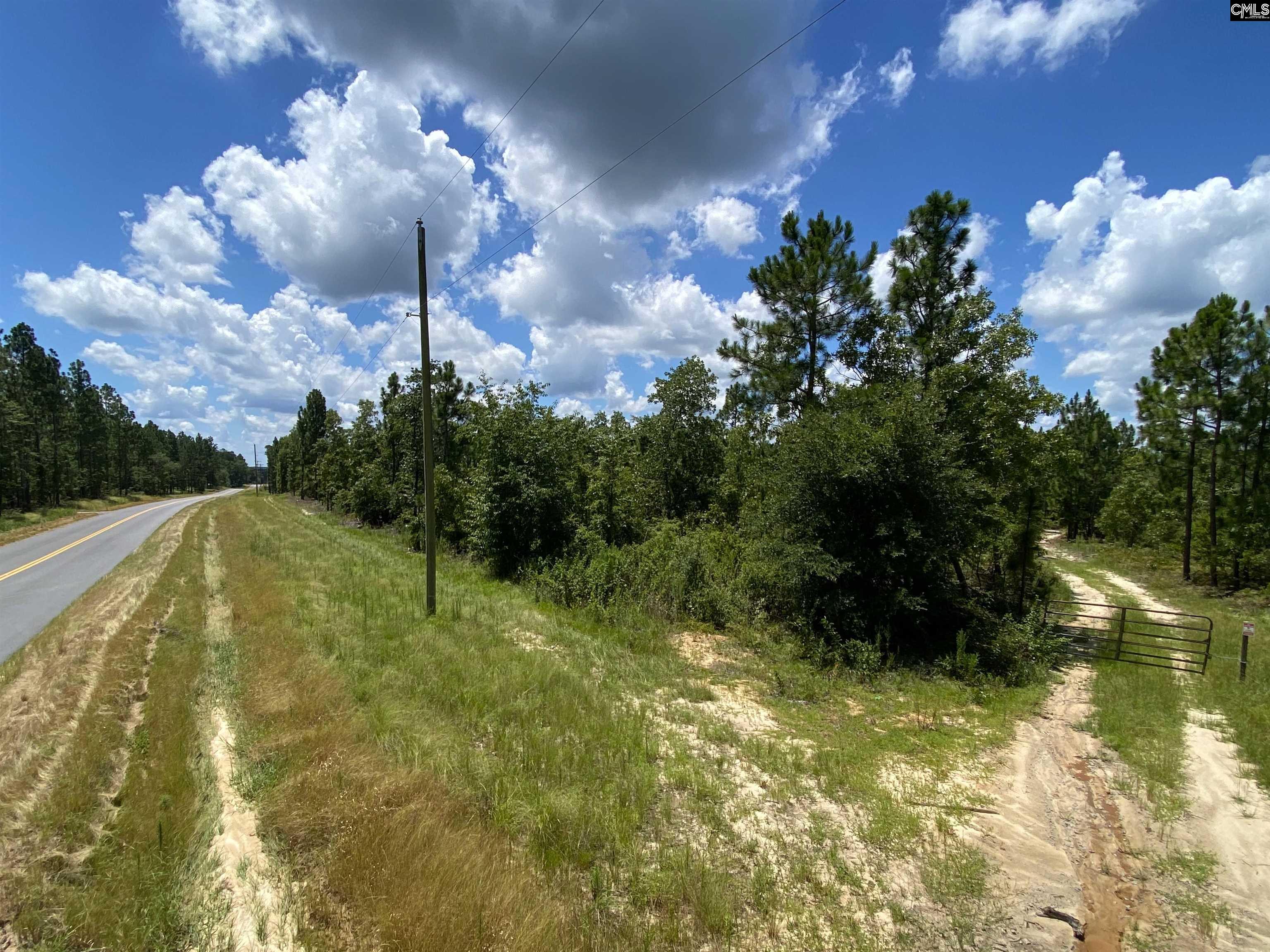 00 Bub Shumpert Road Pelion, SC 29123