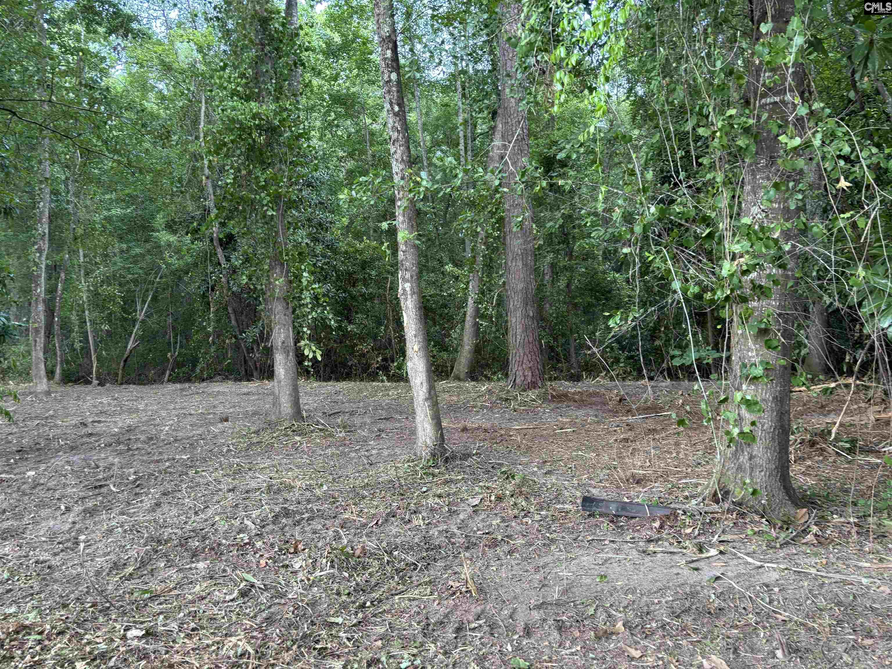 25 Crickle Creek Lane UNIT #6 Camden, SC 29020