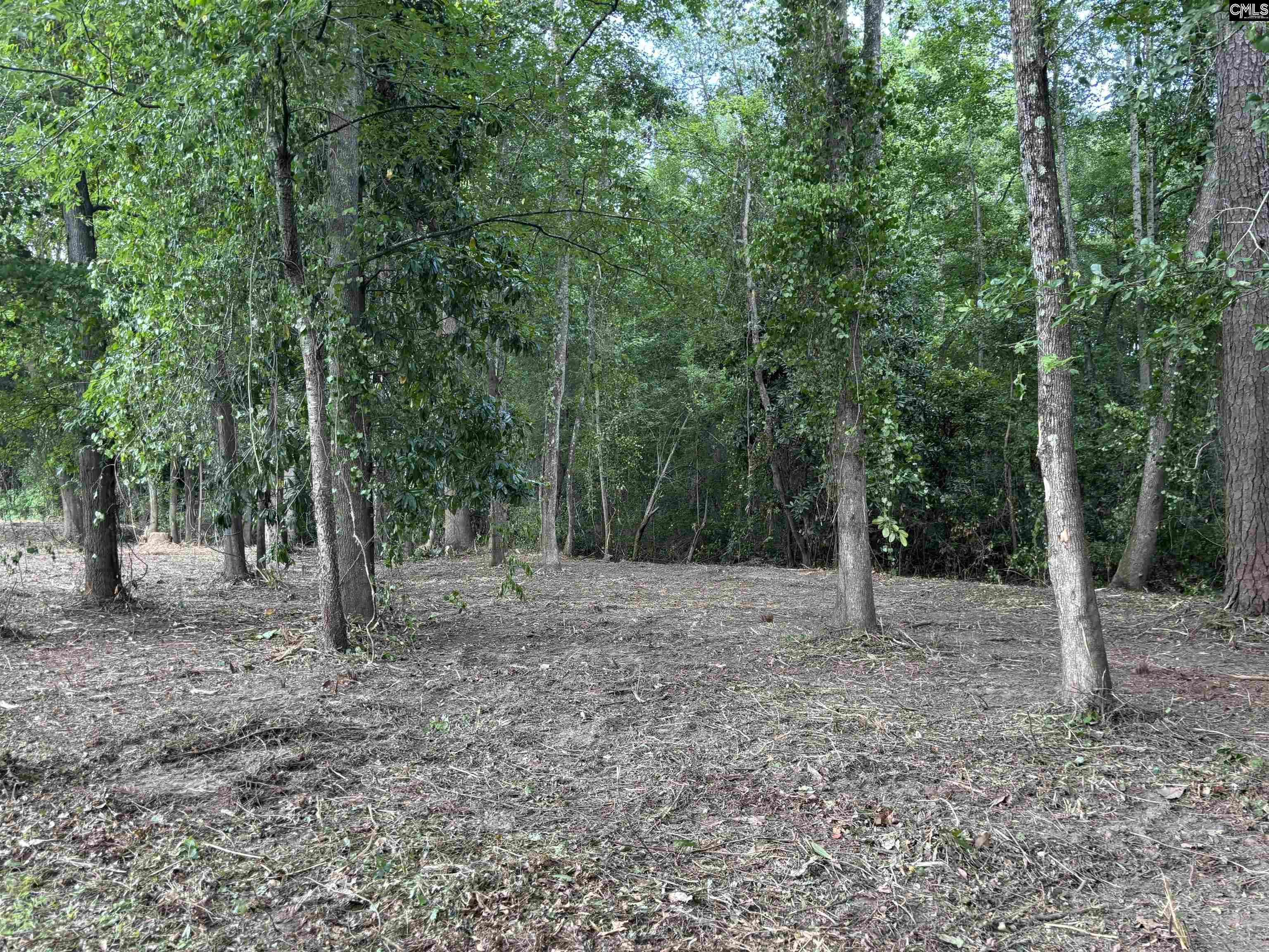 25 Crickle Creek Lane UNIT #6 Camden, SC 29020
