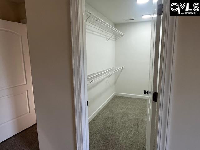 217 Woodleigh Park Drive Columbia, SC 29229