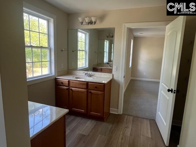 217 Woodleigh Park Drive Columbia, SC 29229