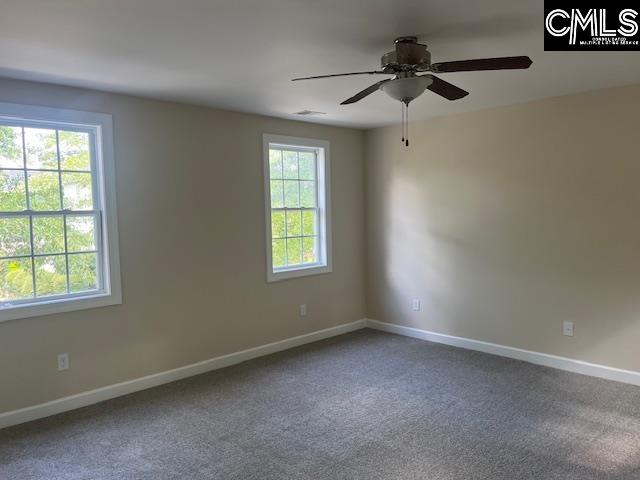 217 Woodleigh Park Drive Columbia, SC 29229
