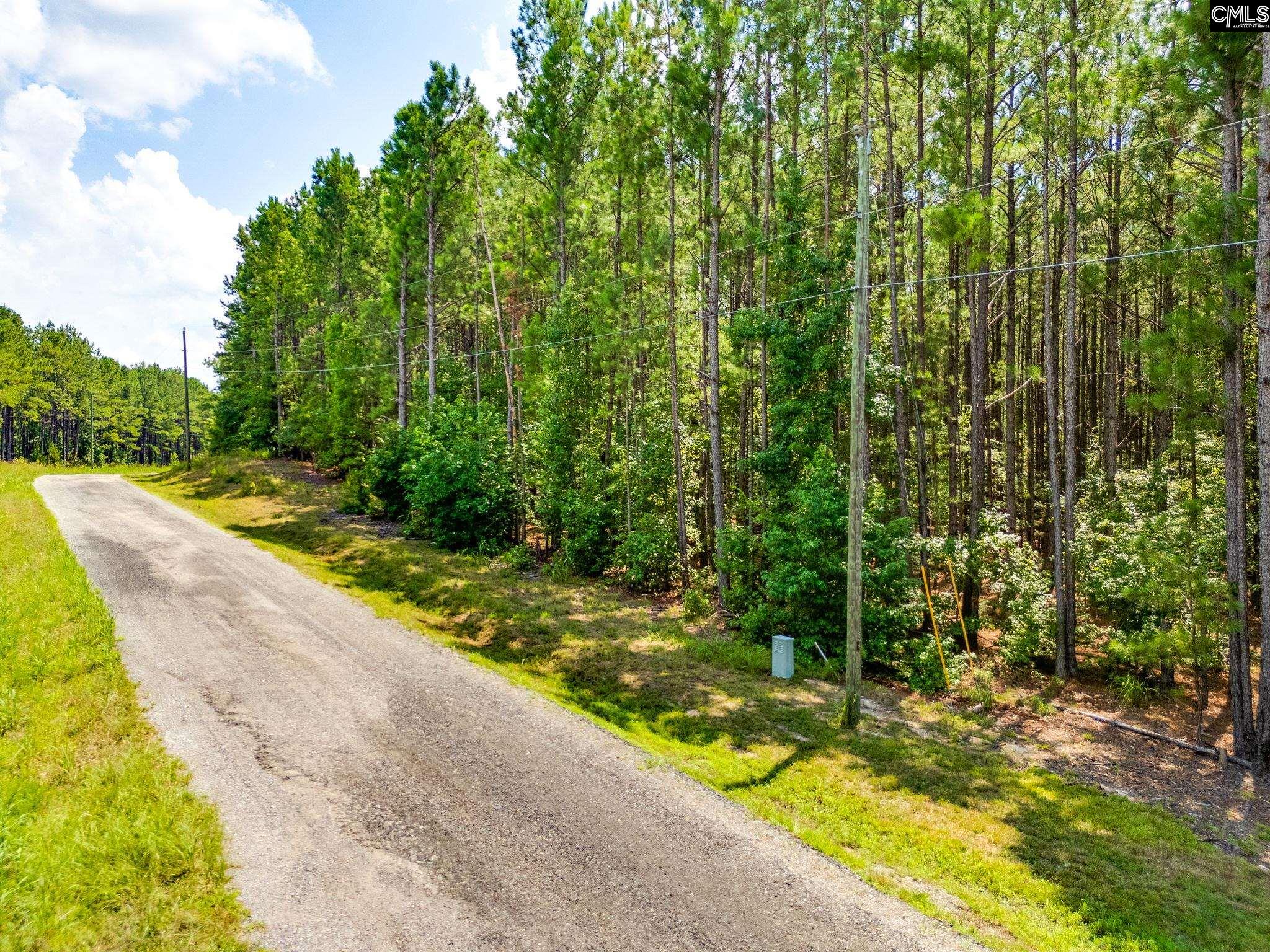 264 Sawney Creek Circle Ridgeway, SC 29130