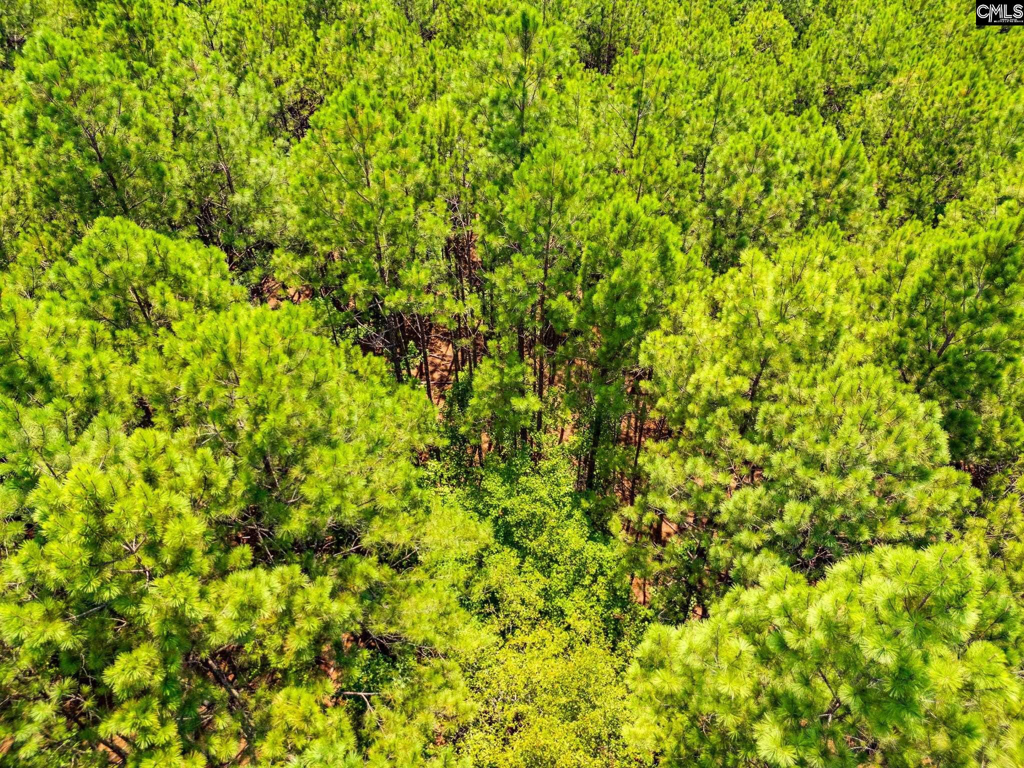 264 Sawney Creek Circle Ridgeway, SC 29130