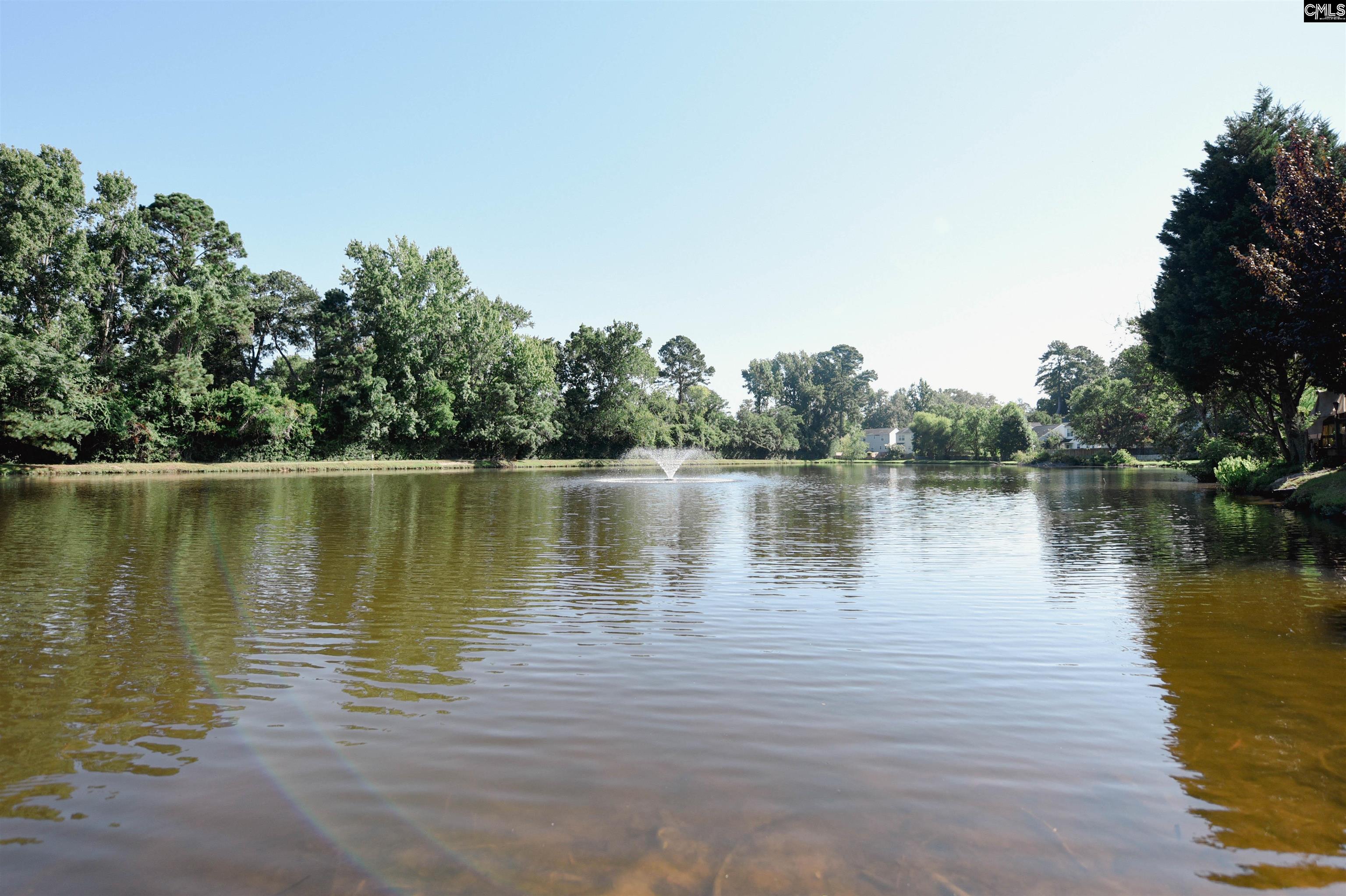 127 Village Walk Columbia, SC 29209