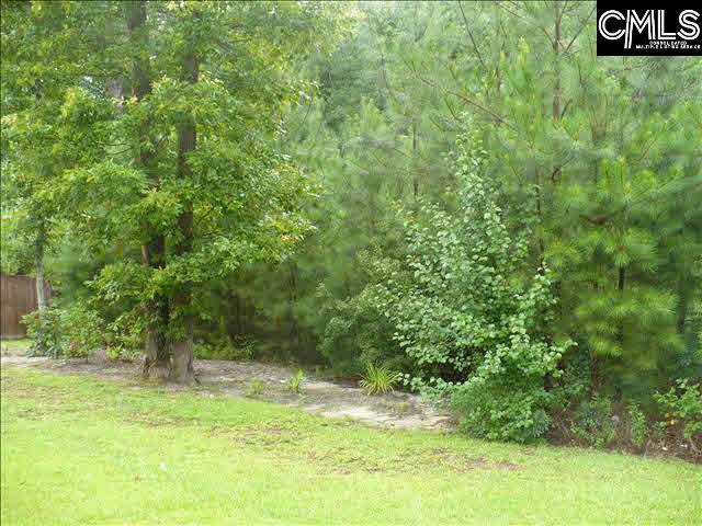 157 Longtown Place Drive Columbia, SC 29229
