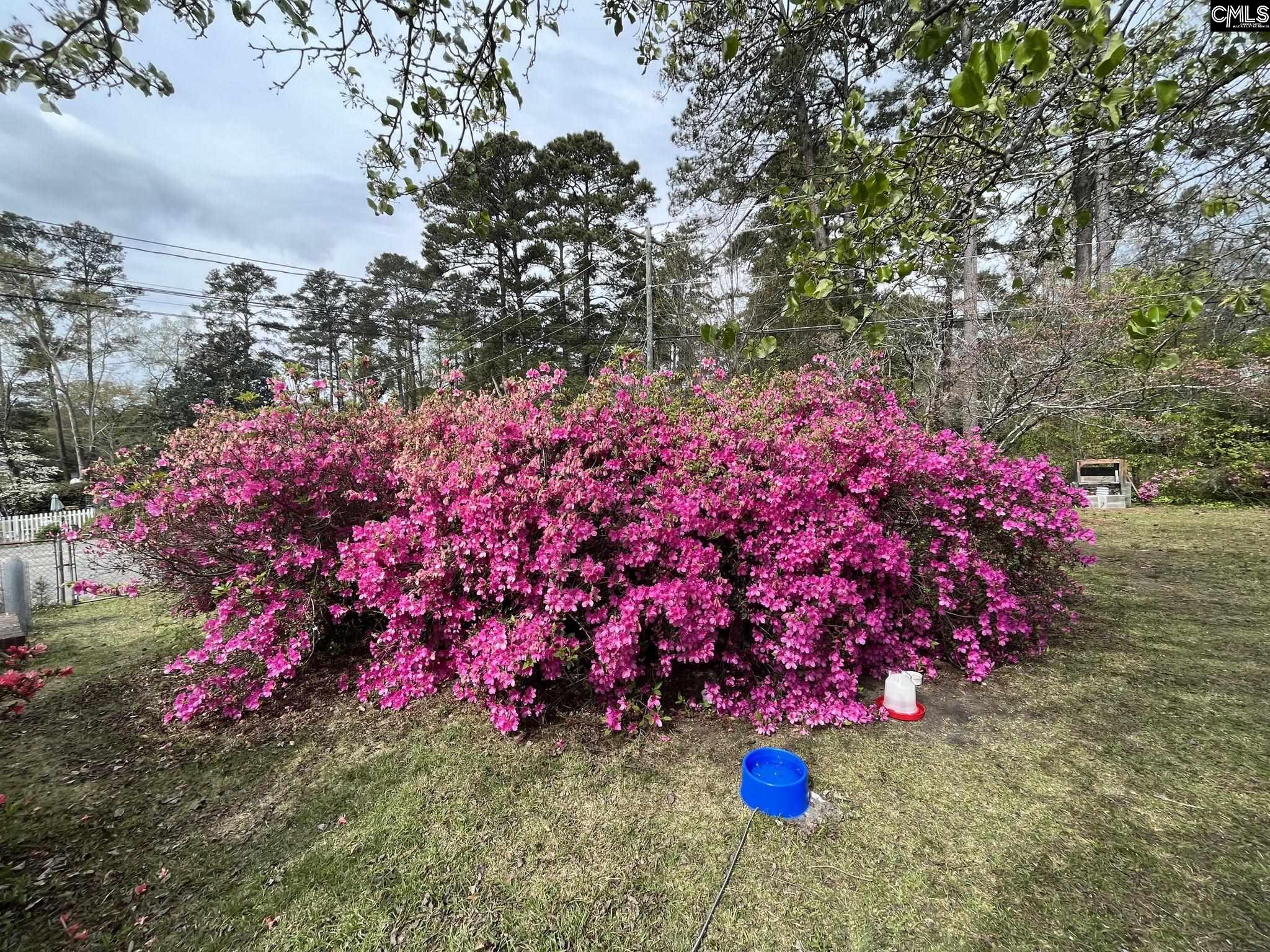 4603 Trenholm Road Columbia, SC 29206