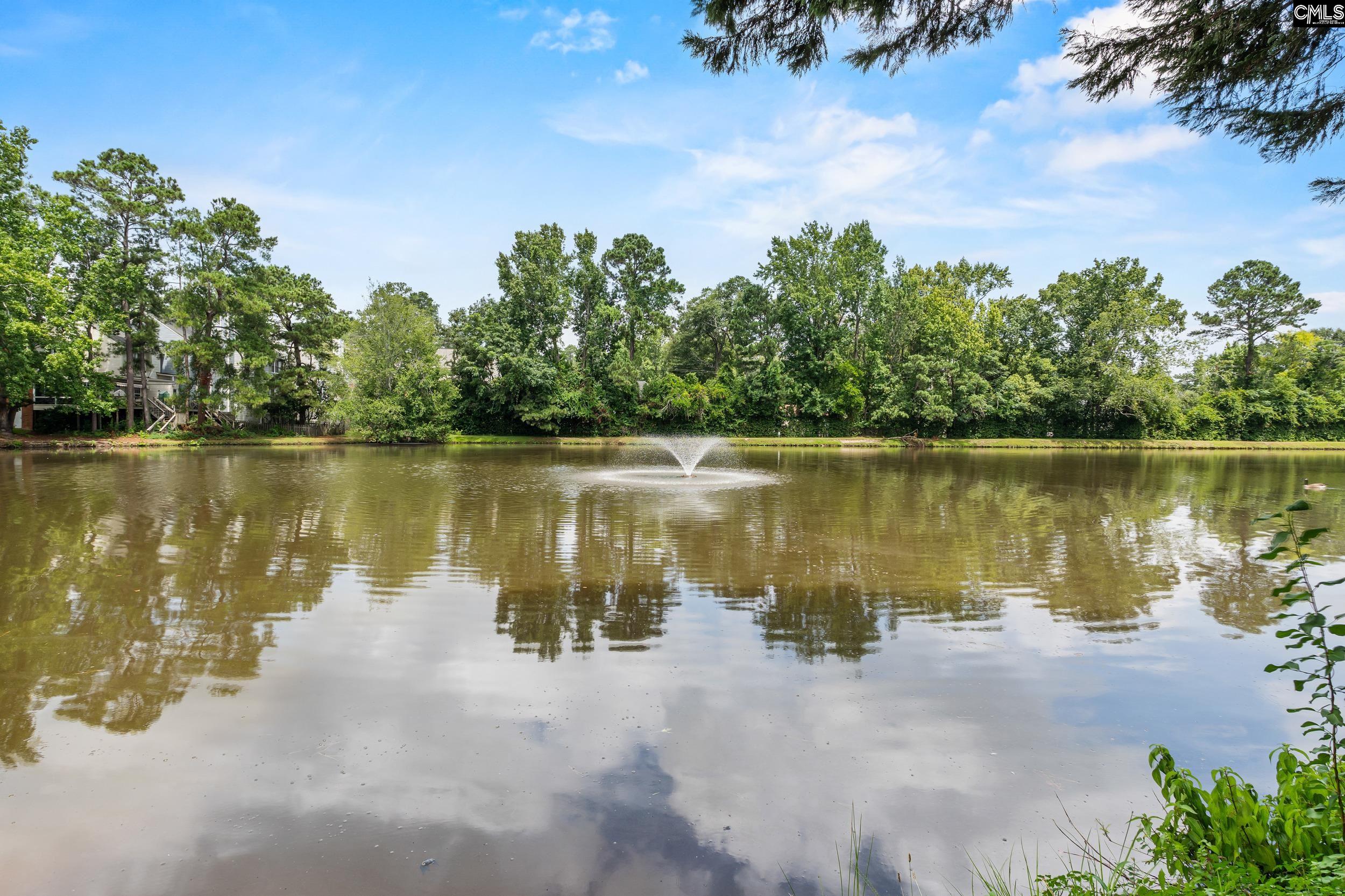137 Village Walk Columbia, SC 29209