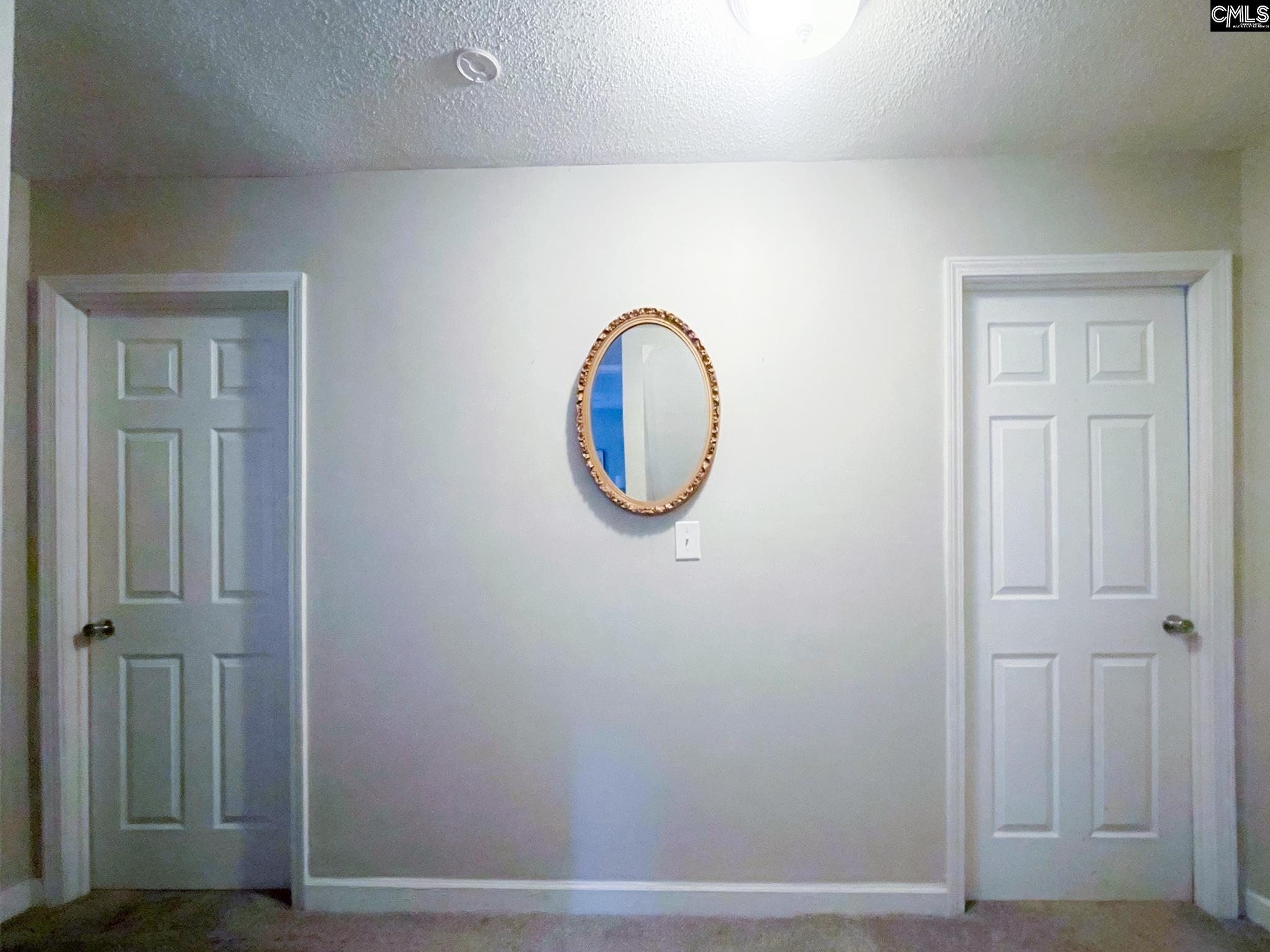 1628 Dreher Island Road Chapin, SC 29036