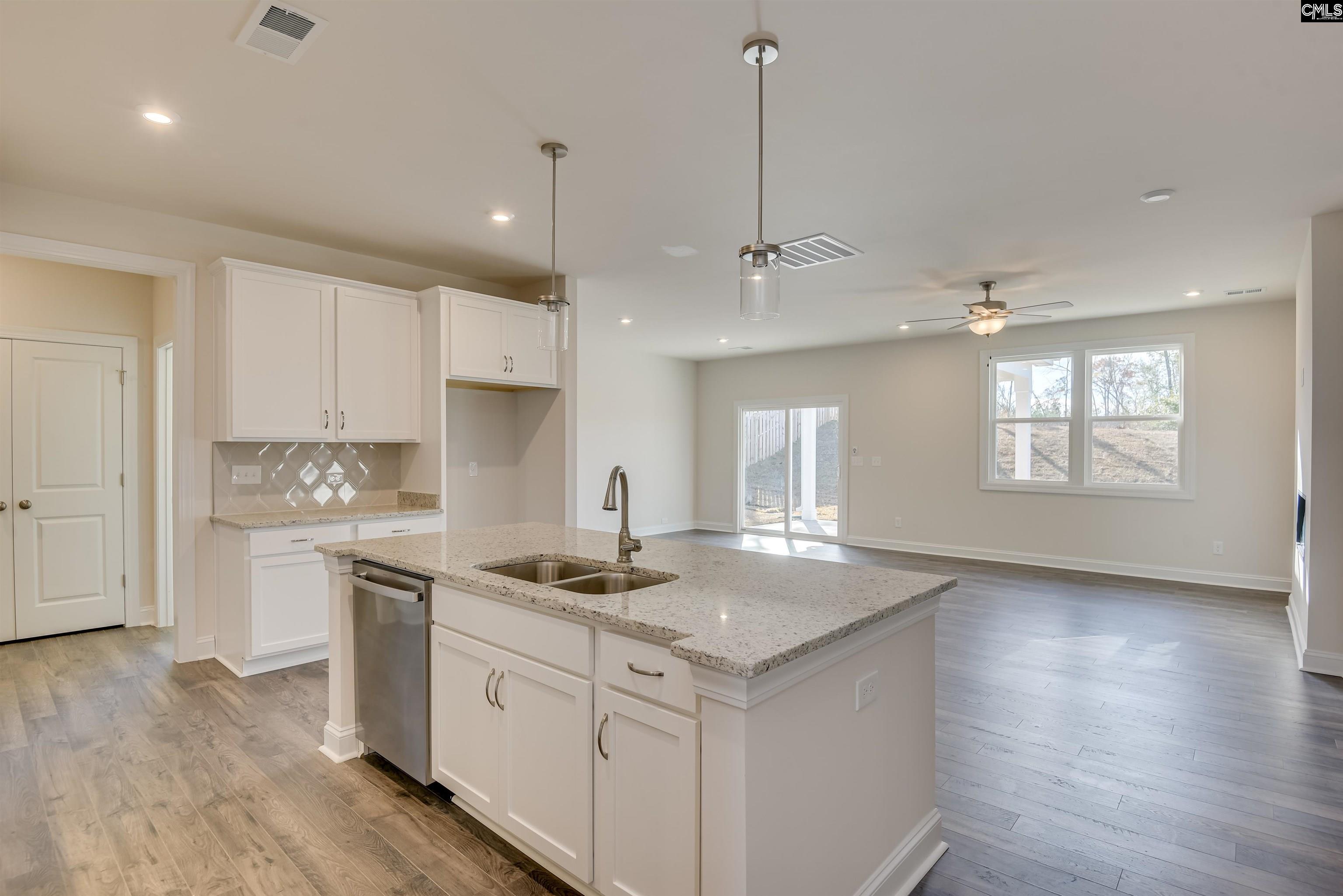 351 Chapin Place Way Chapin, SC 29036