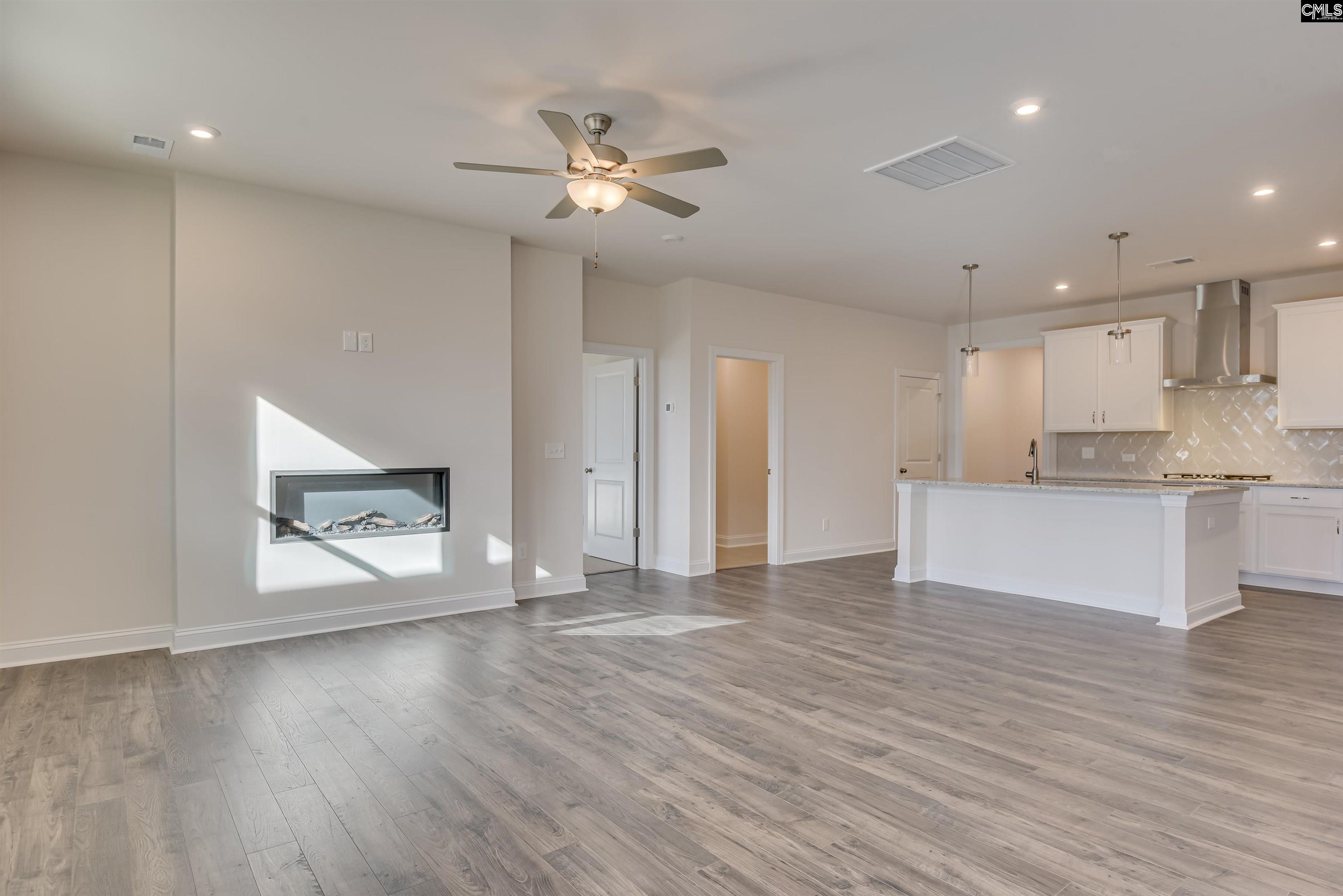351 Chapin Place Way Chapin, SC 29036