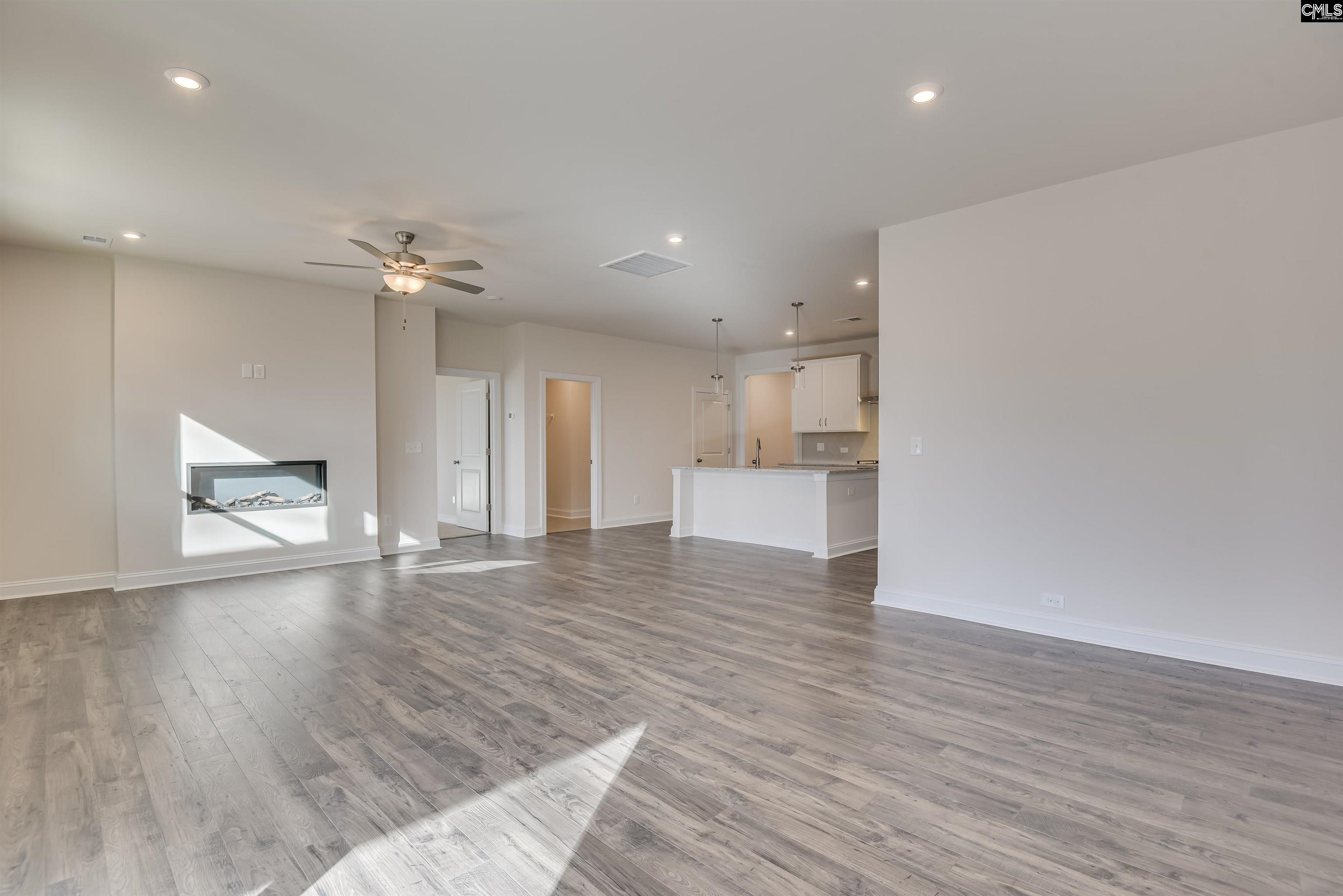 351 Chapin Place Way Chapin, SC 29036