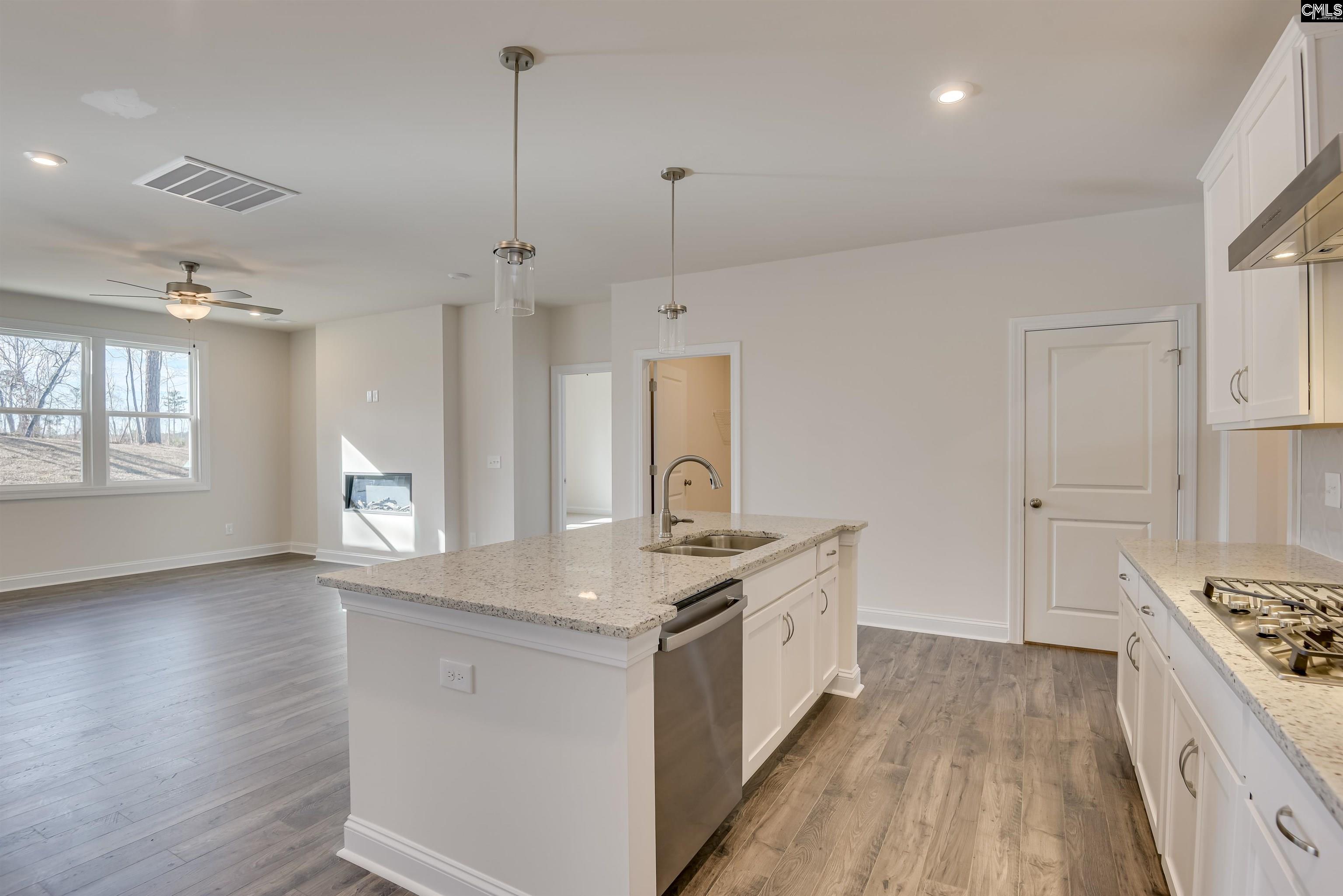 351 Chapin Place Way Chapin, SC 29036