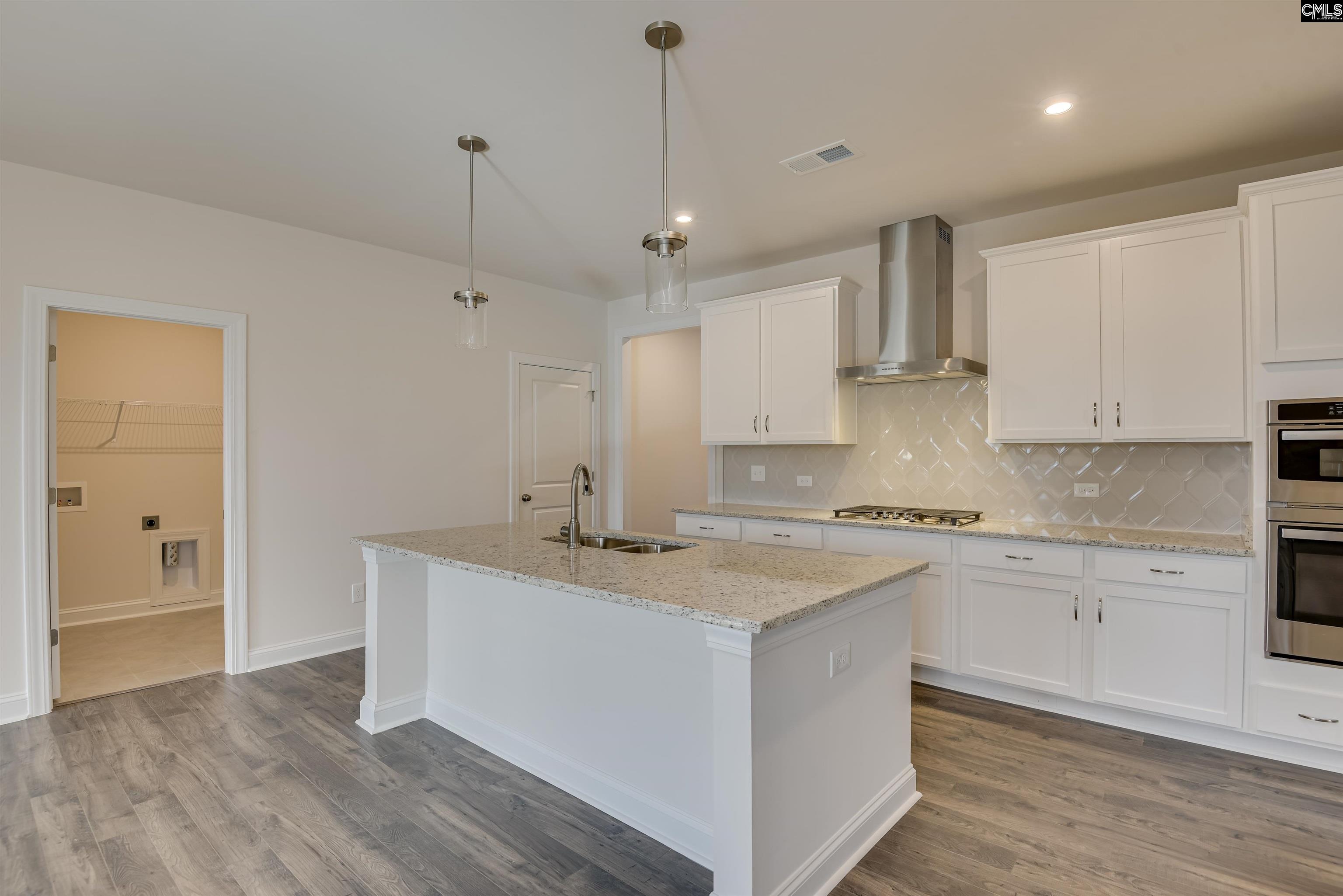 351 Chapin Place Way Chapin, SC 29036