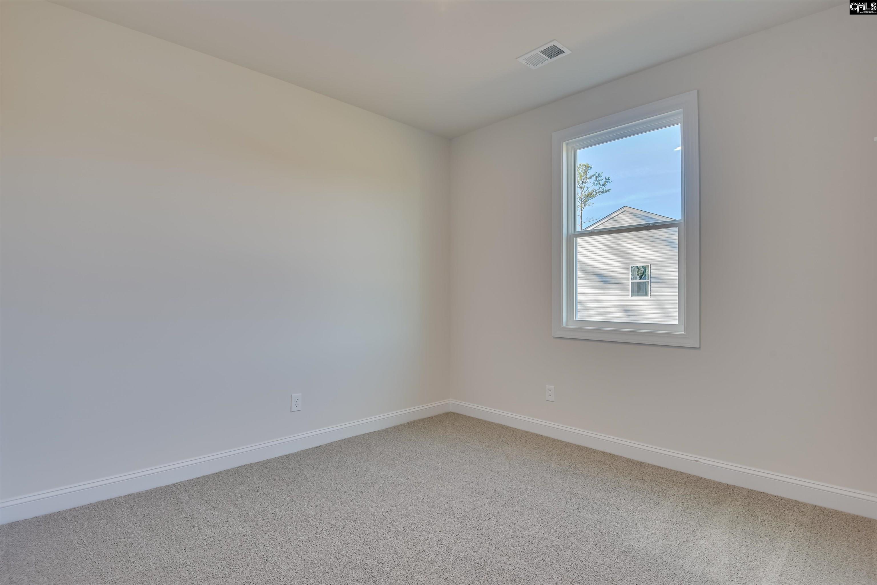 351 Chapin Place Way Chapin, SC 29036