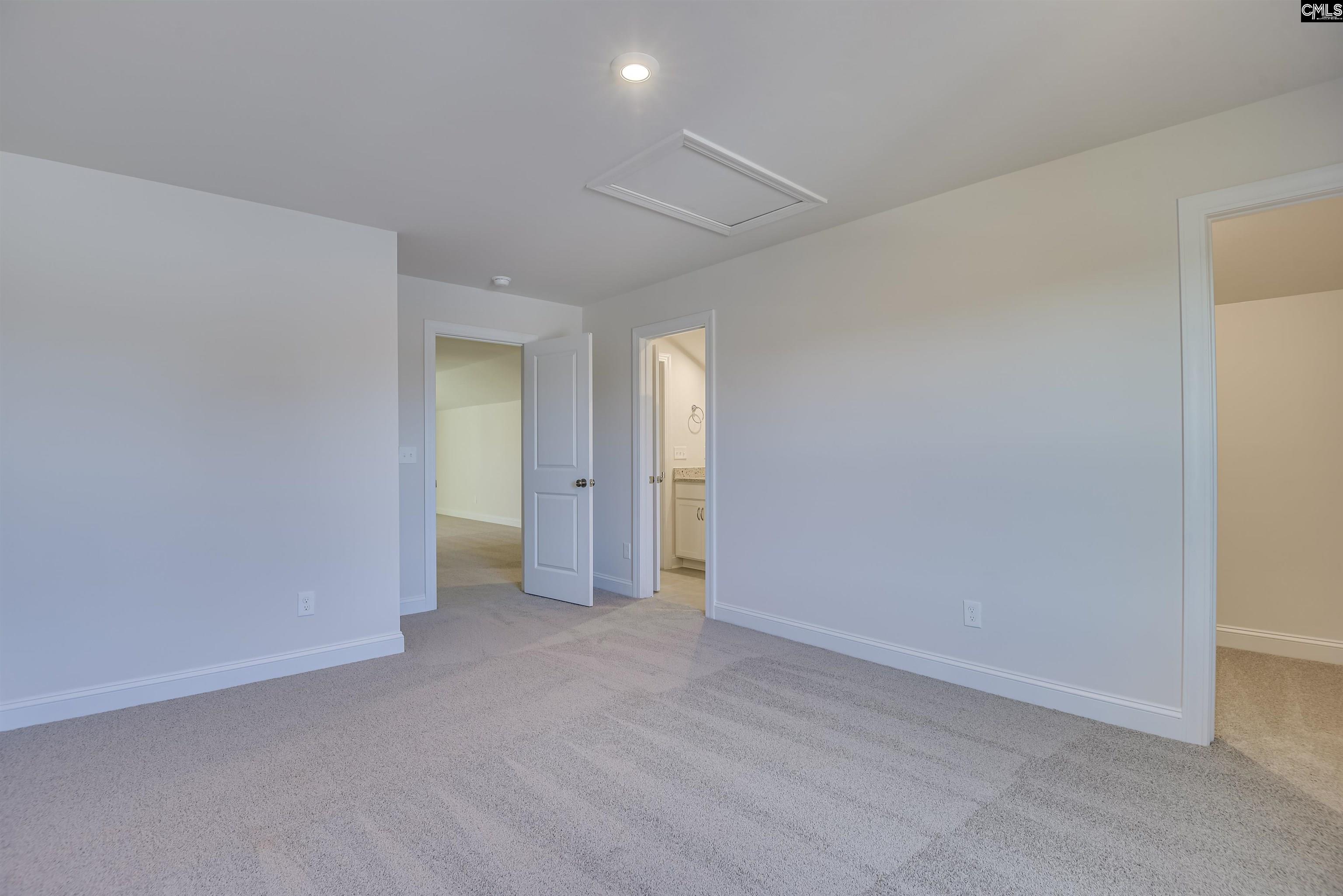351 Chapin Place Way Chapin, SC 29036