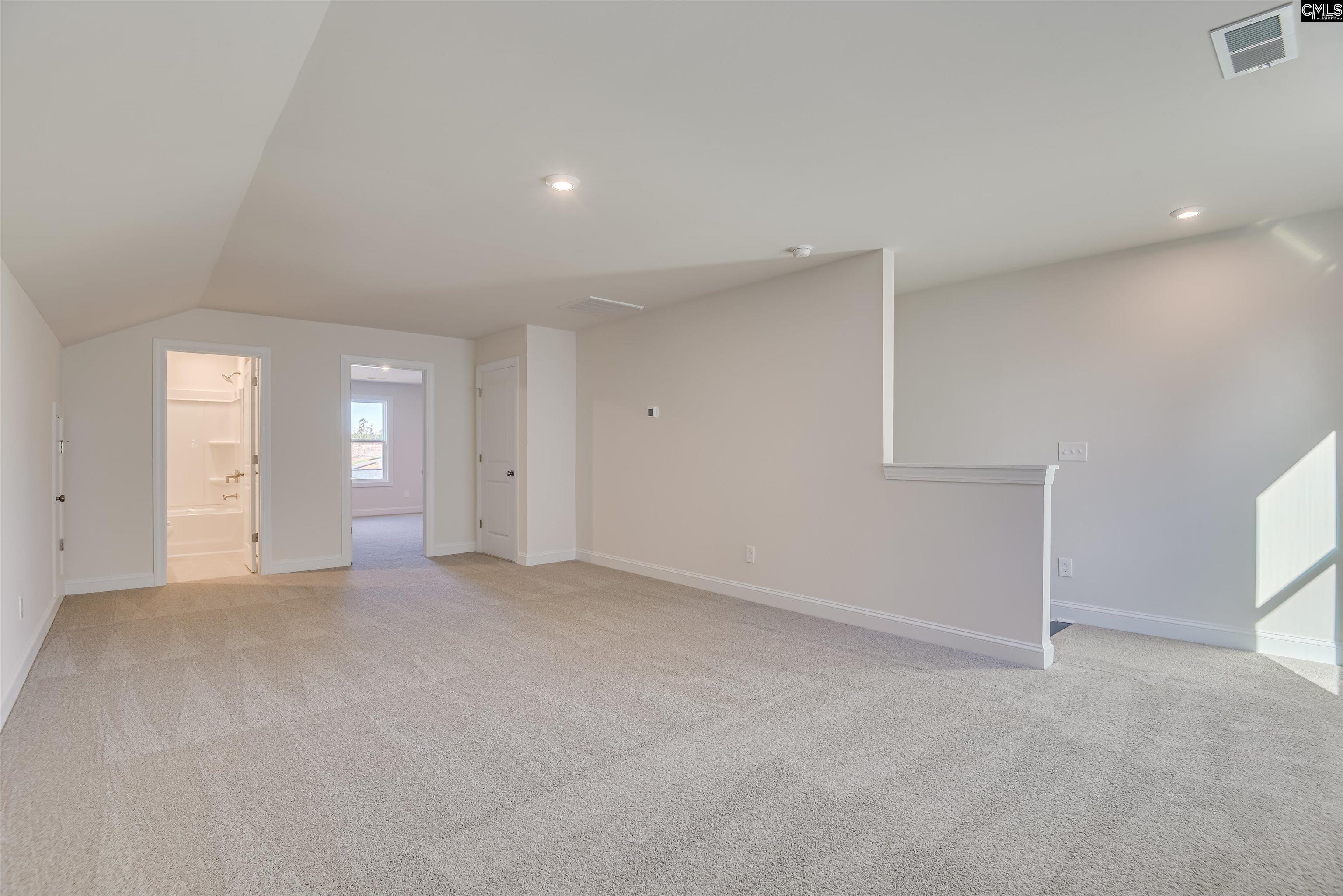 351 Chapin Place Way Chapin, SC 29036