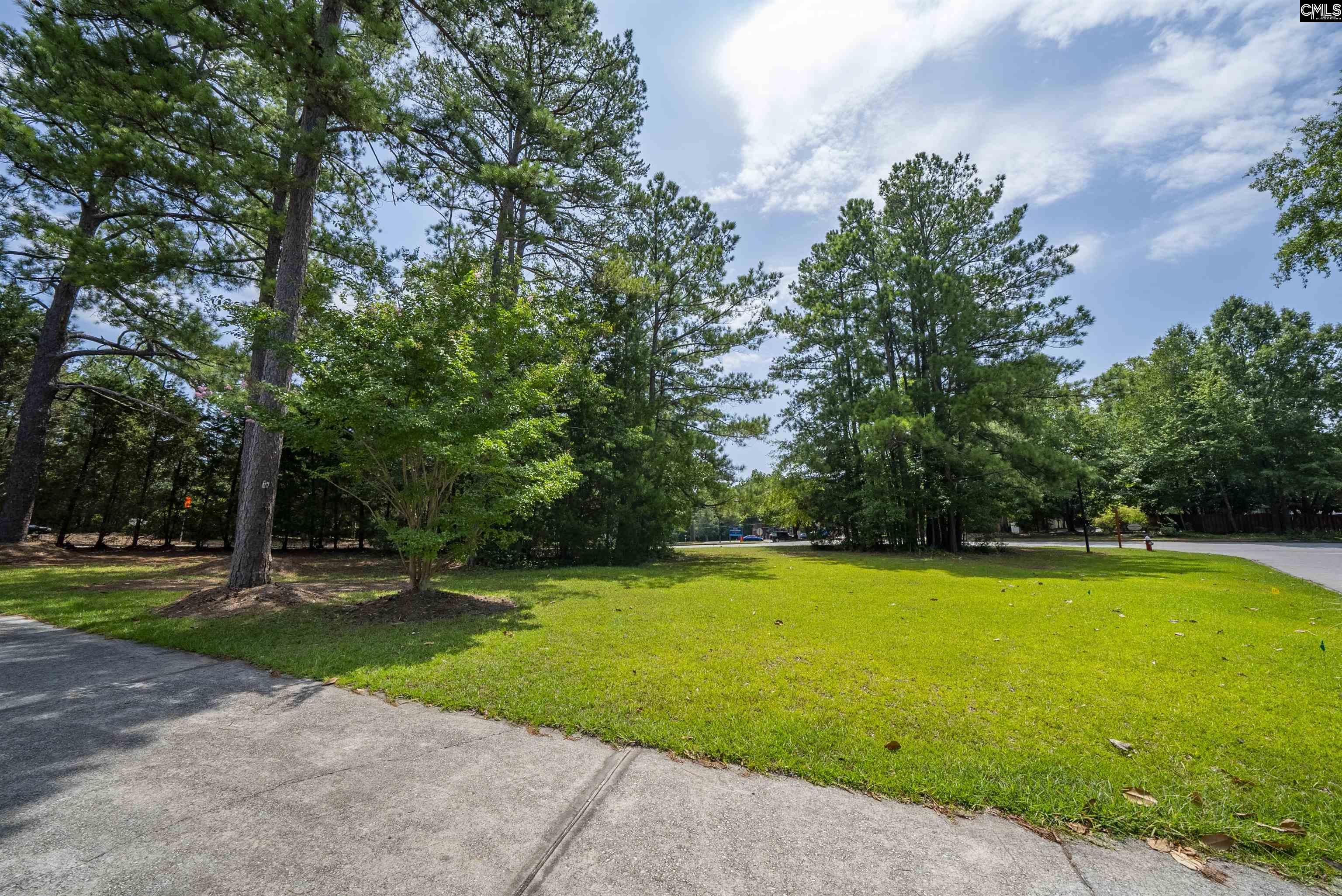 1200 College View Court Columbia, SC 29212