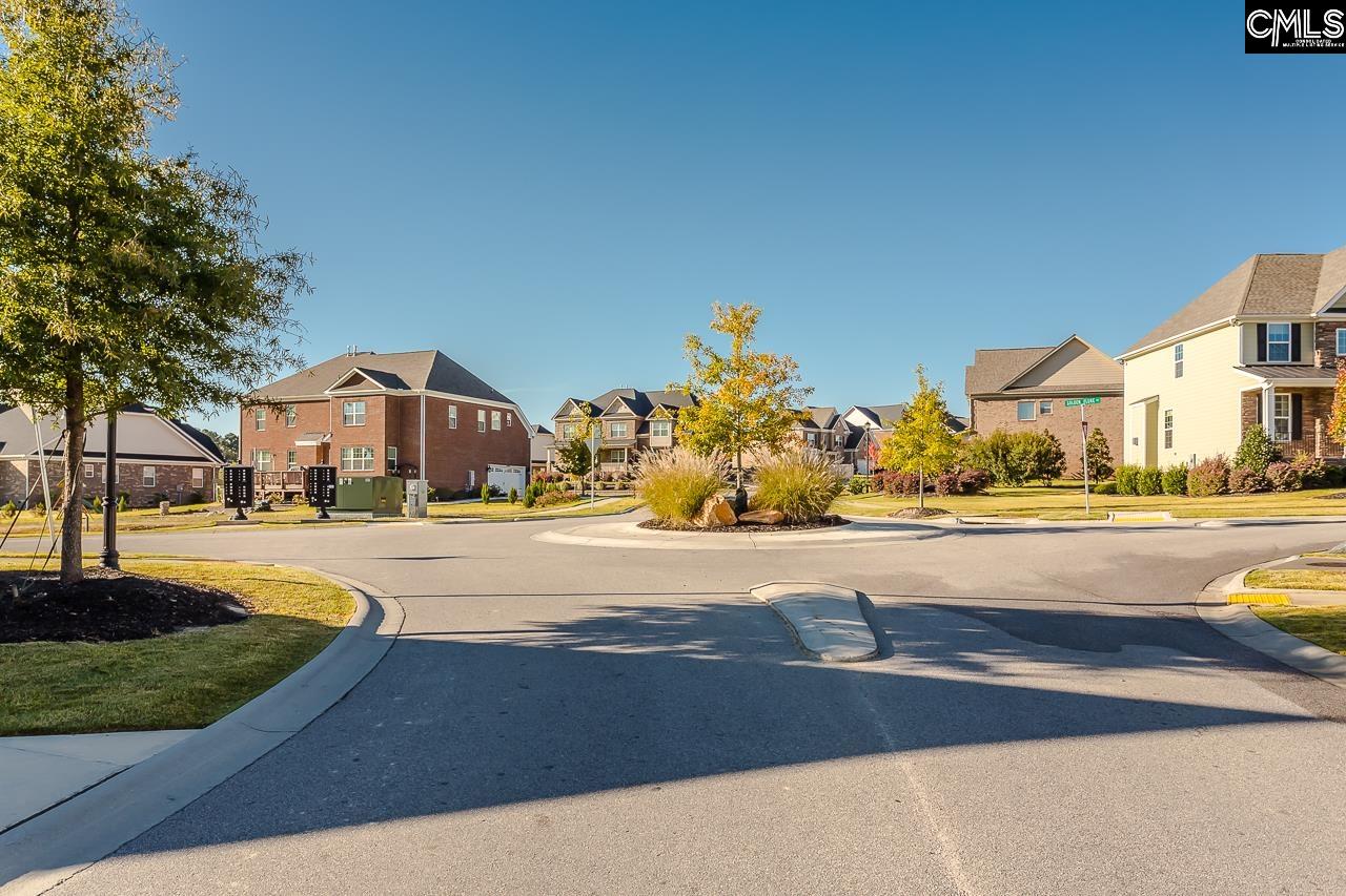 412 Rainbow Shad Way Lexington, SC 29072